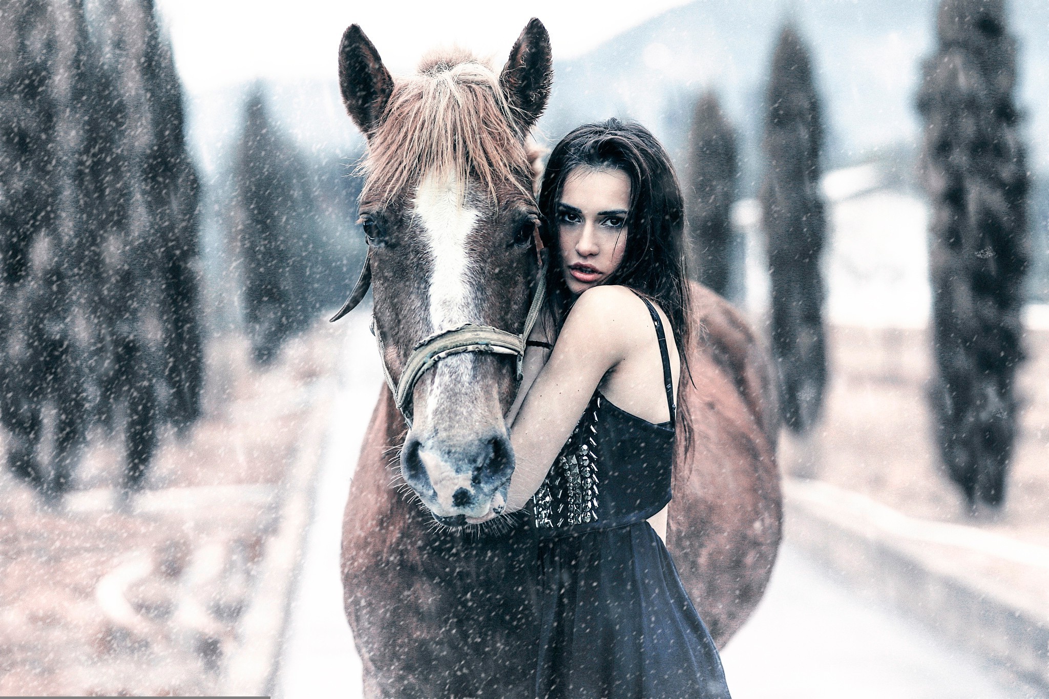women Outdoors, Women, Model, Horse, Animals Wallpaper HD / Desktop and Mobile Background