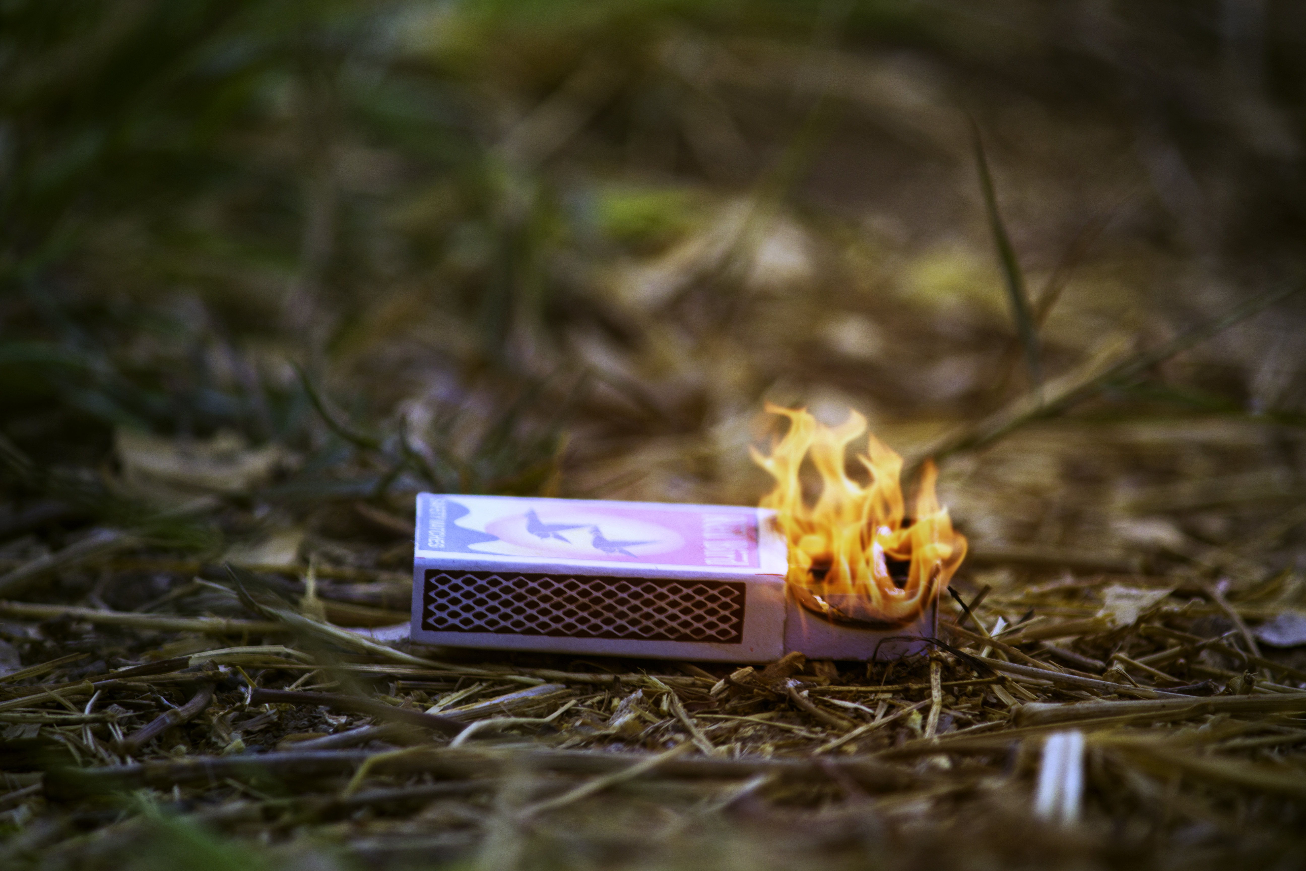 Close Up Photography Of Matchbox On Fire · Free