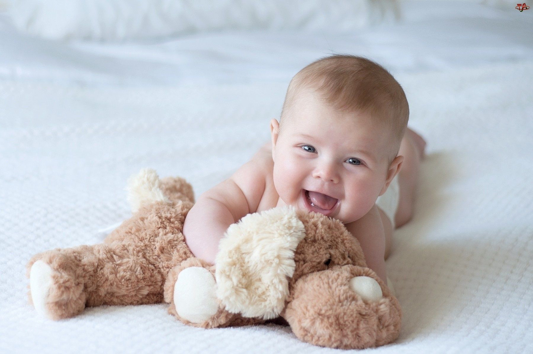 Baby. Baby boy picture, Cute baby boy picture, Cute little baby
