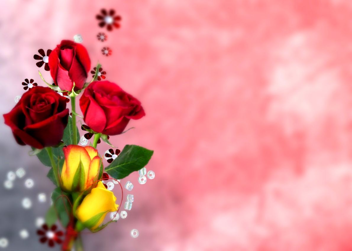 Red Flowers HD Wallpapers - Wallpaper Cave