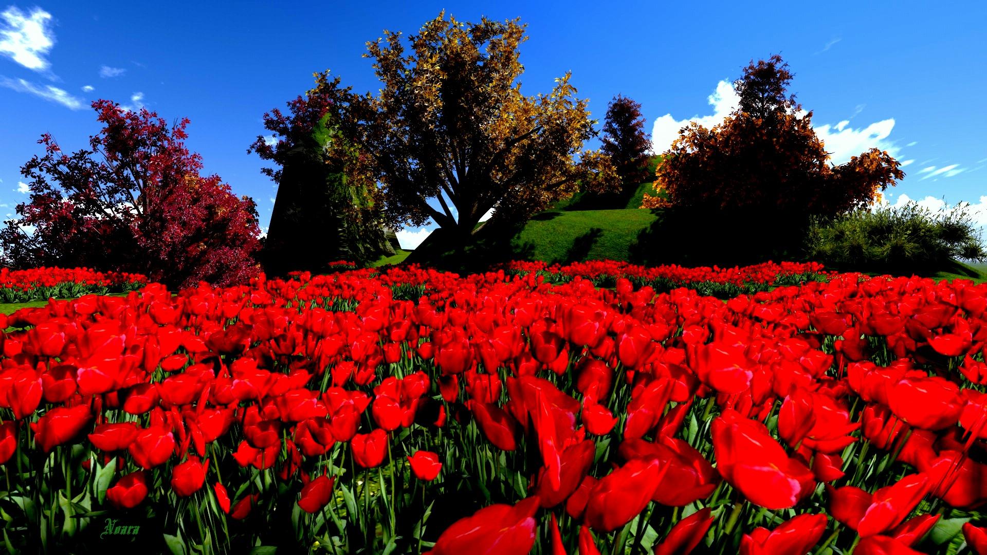 Free download Red Flower HD Wallpaper [1920x1080] for your Desktop, Mobile & Tablet. Explore Red Flowers Wallpaper. Red Wallpaper Background, Pink Flower Wallpaper, Green Flower Wallpaper