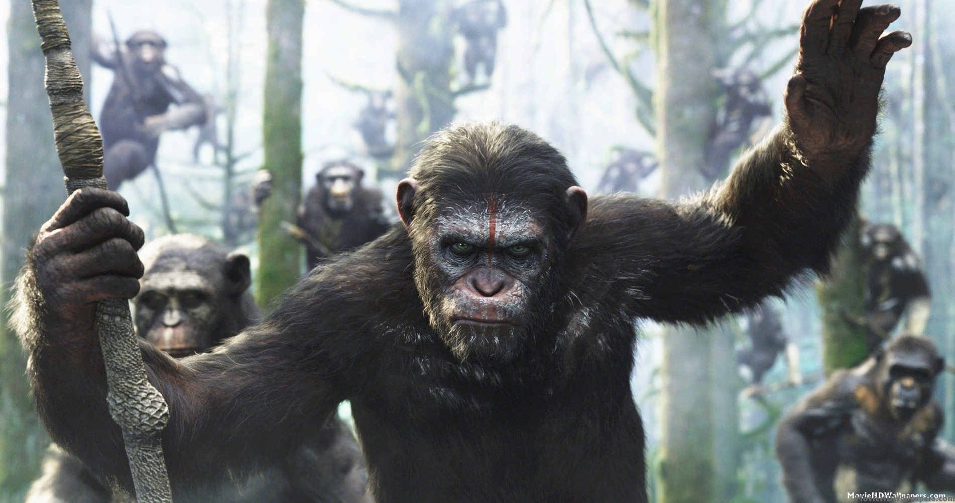 Dawn Of The Planet Of The Apes Wallpaper