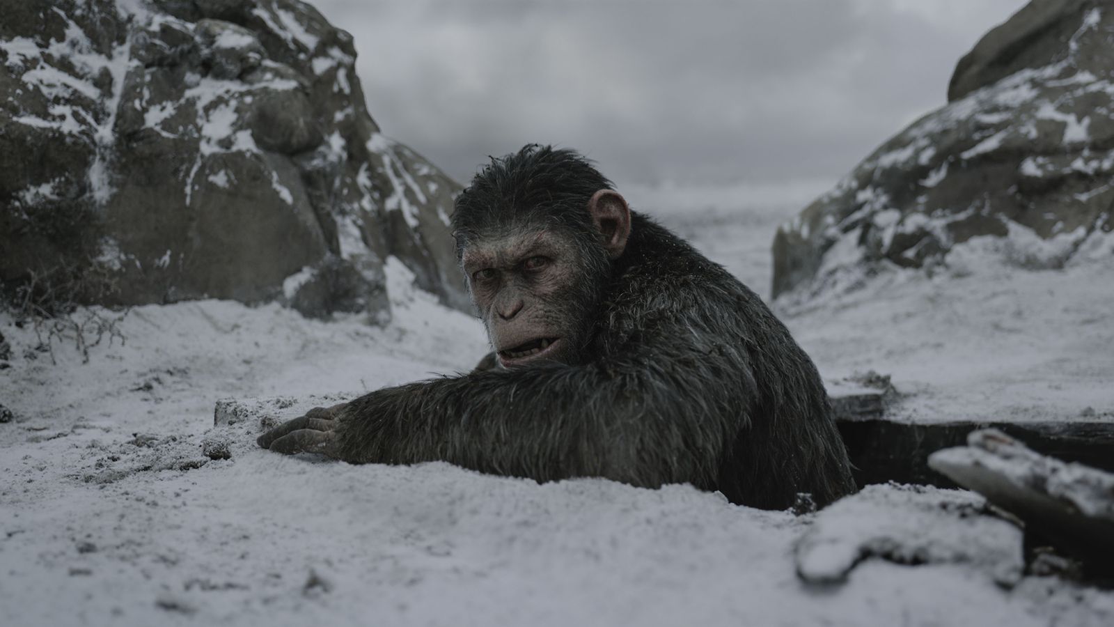 The Deadly Virus In Planet Of The Apes Is A Fictional Flu Inspired By Real World Pandemics