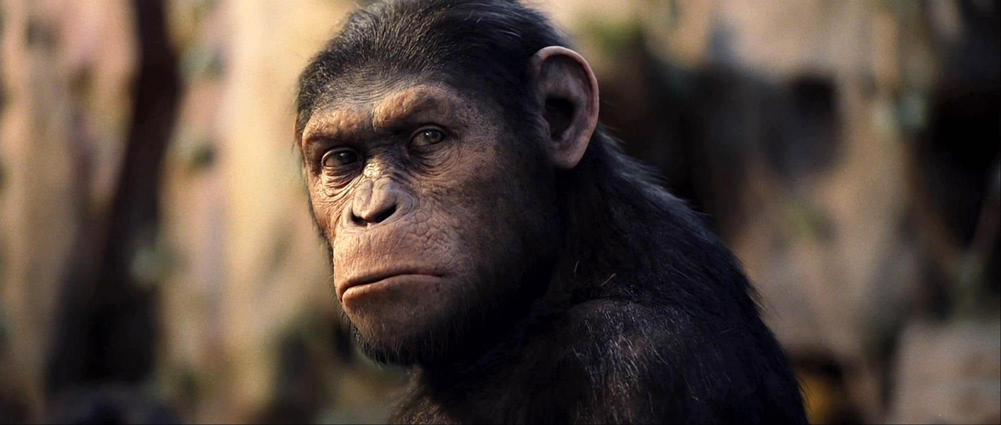 Rise Of The Planet Of The Apes wallpaper, Movie, HQ Rise Of The Planet Of The Apes pictureK Wallpaper 2019