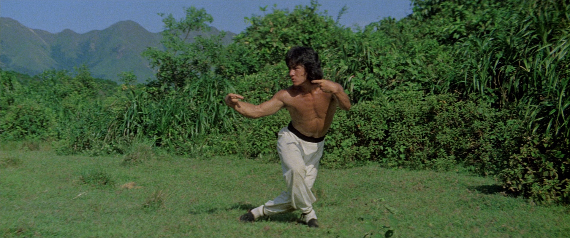 Drunken Master
