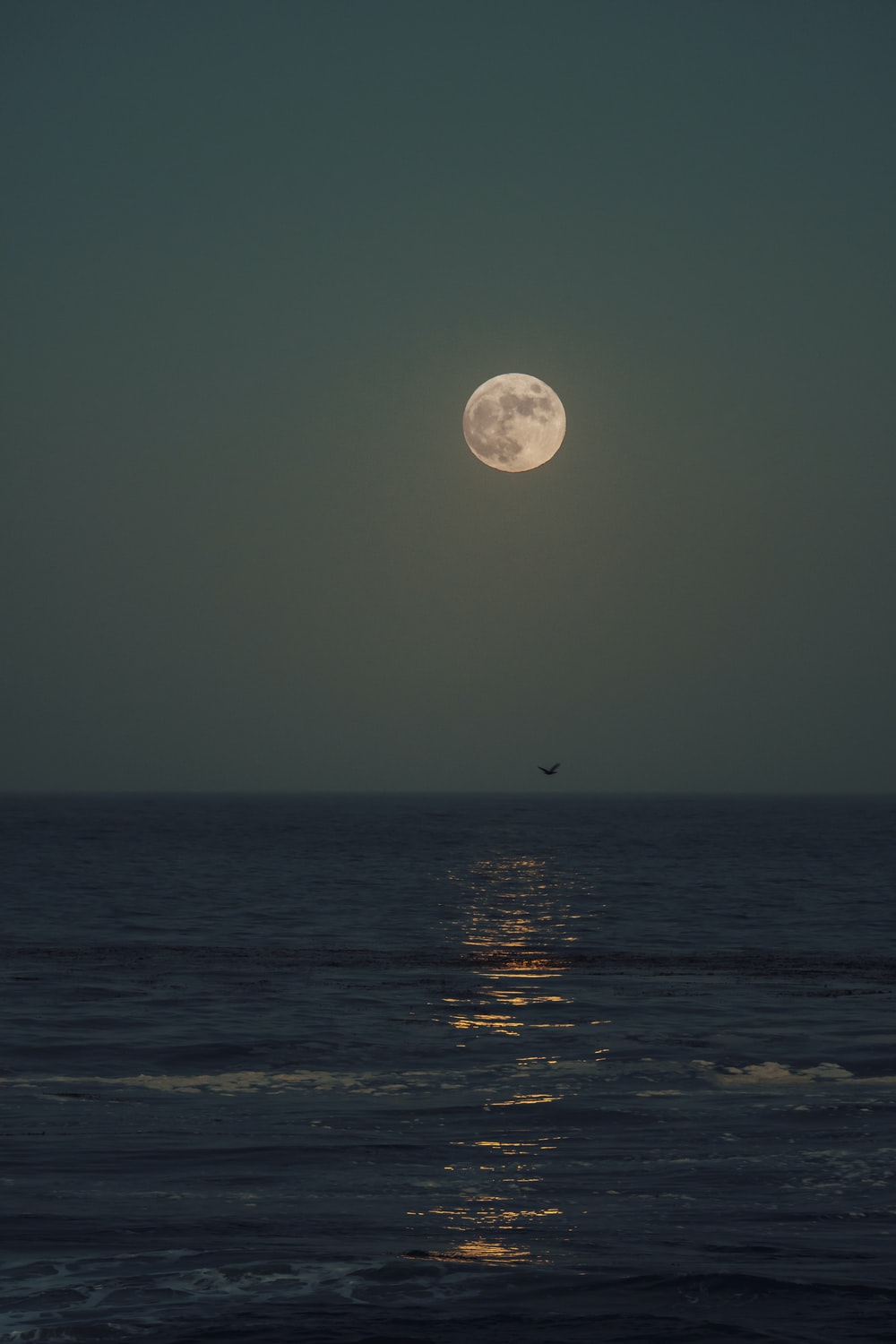 Moon Sea Picture. Download Free Image