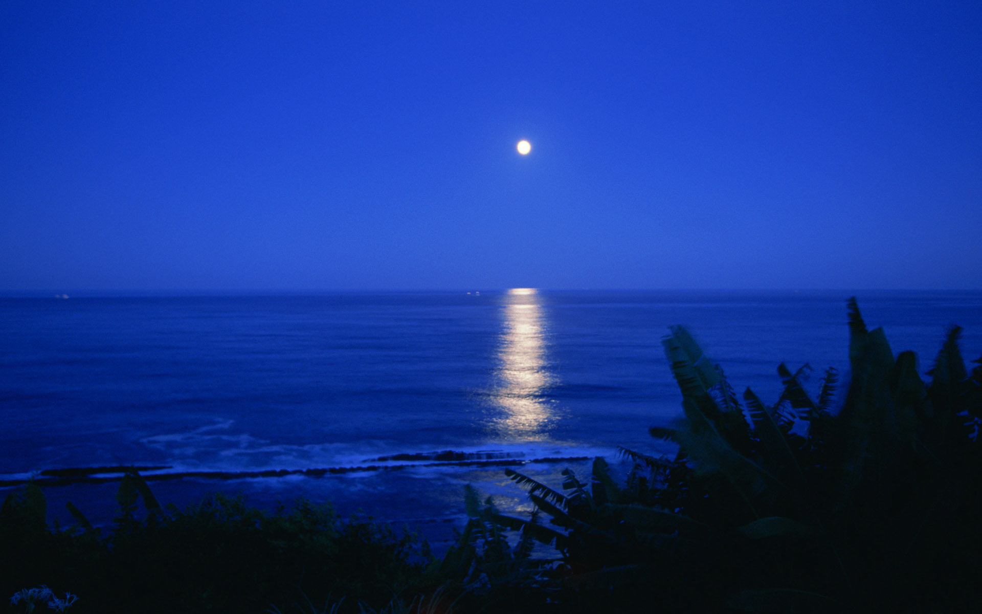 night, Sea, Moon, Ocean, Reflection Wallpaper HD / Desktop and Mobile Background