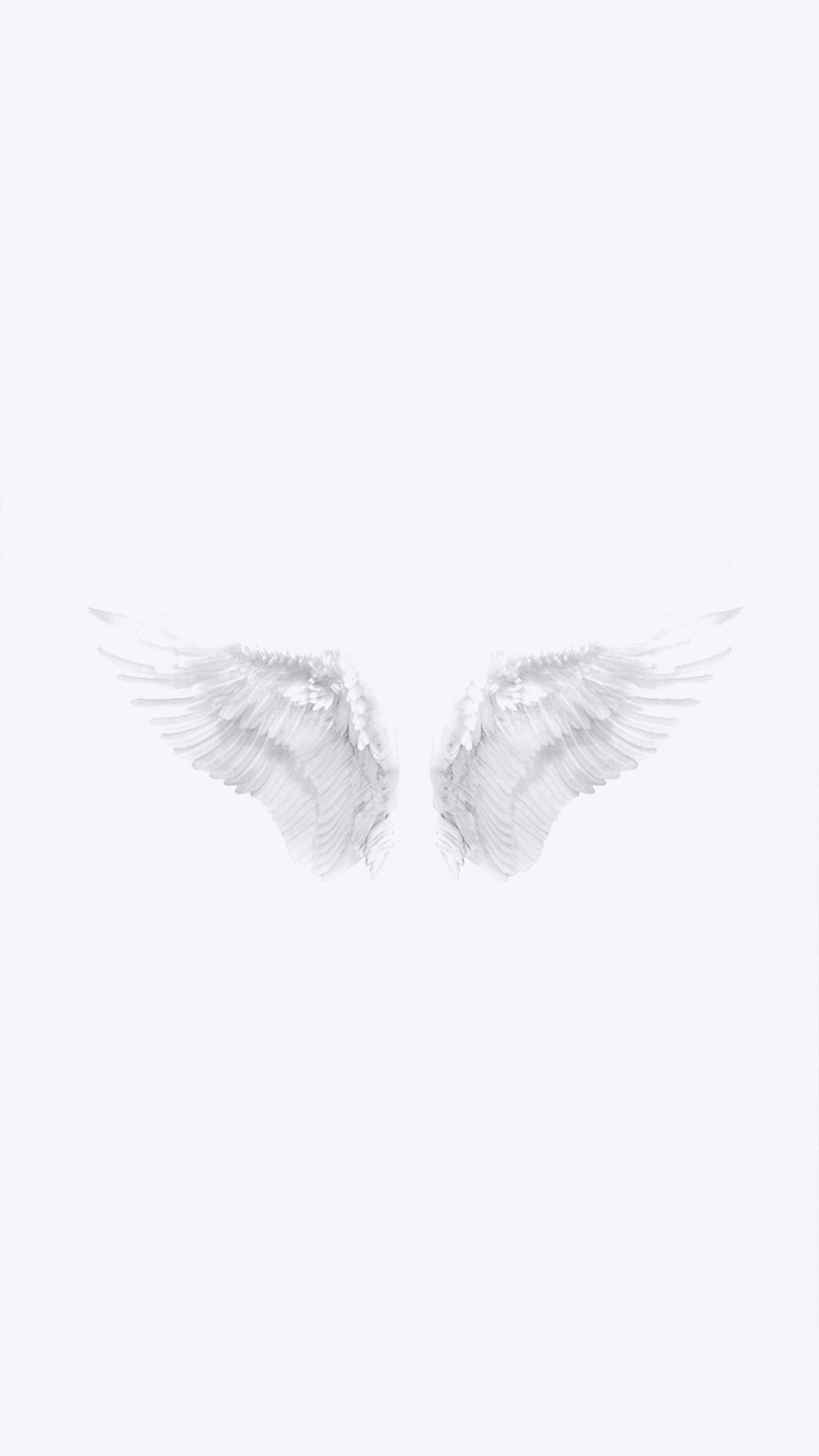 White Wings Wallpapers - Wallpaper Cave