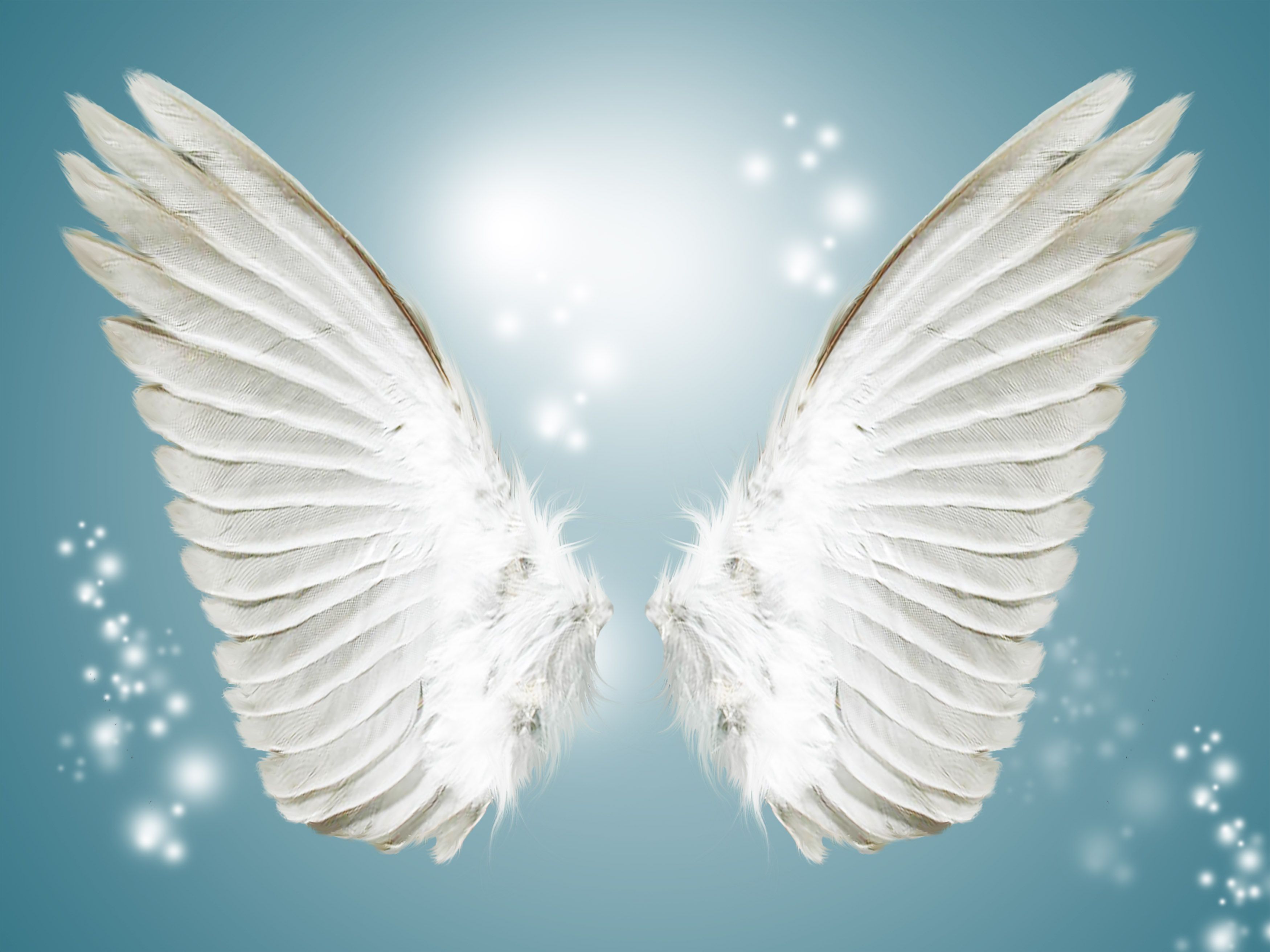 Angel White Wing Background. Angel wings background, Angel wings picture, Angel wings drawing