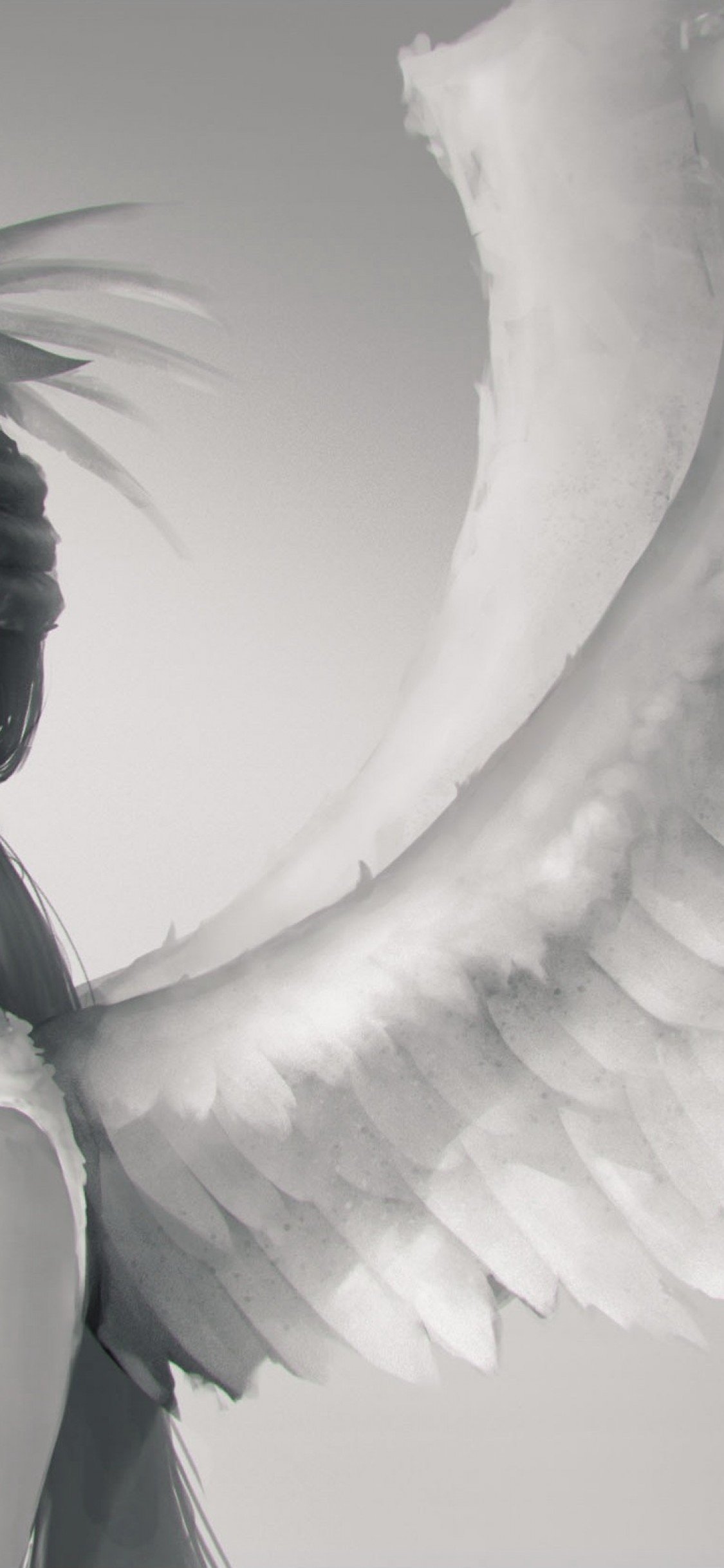 Angel, Wings, Profile View Wings Wallpaper For iPhone HD Wallpaper