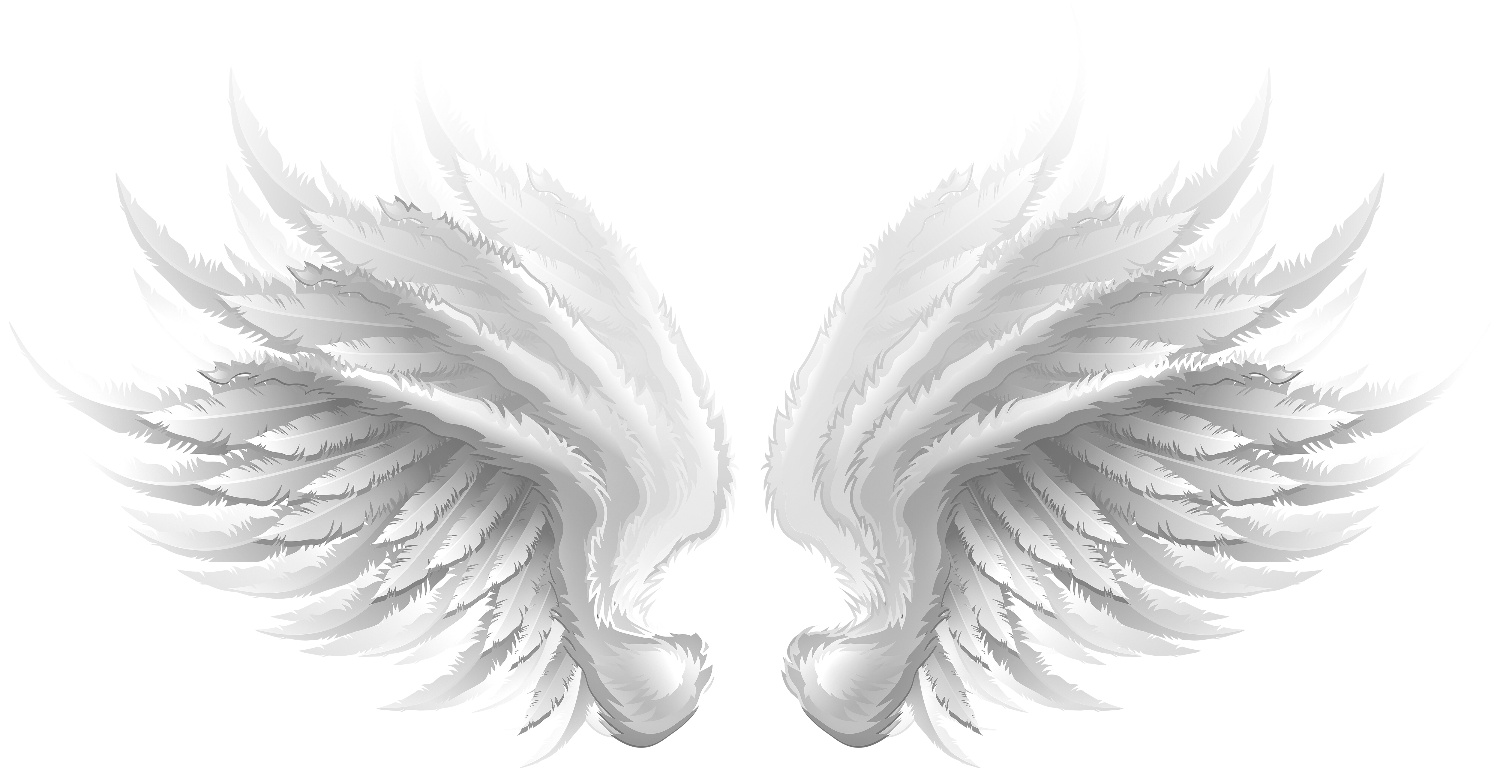 White Wings Transparent Clip Art Image​-Quality Image and Transparent PNG Free Clipart