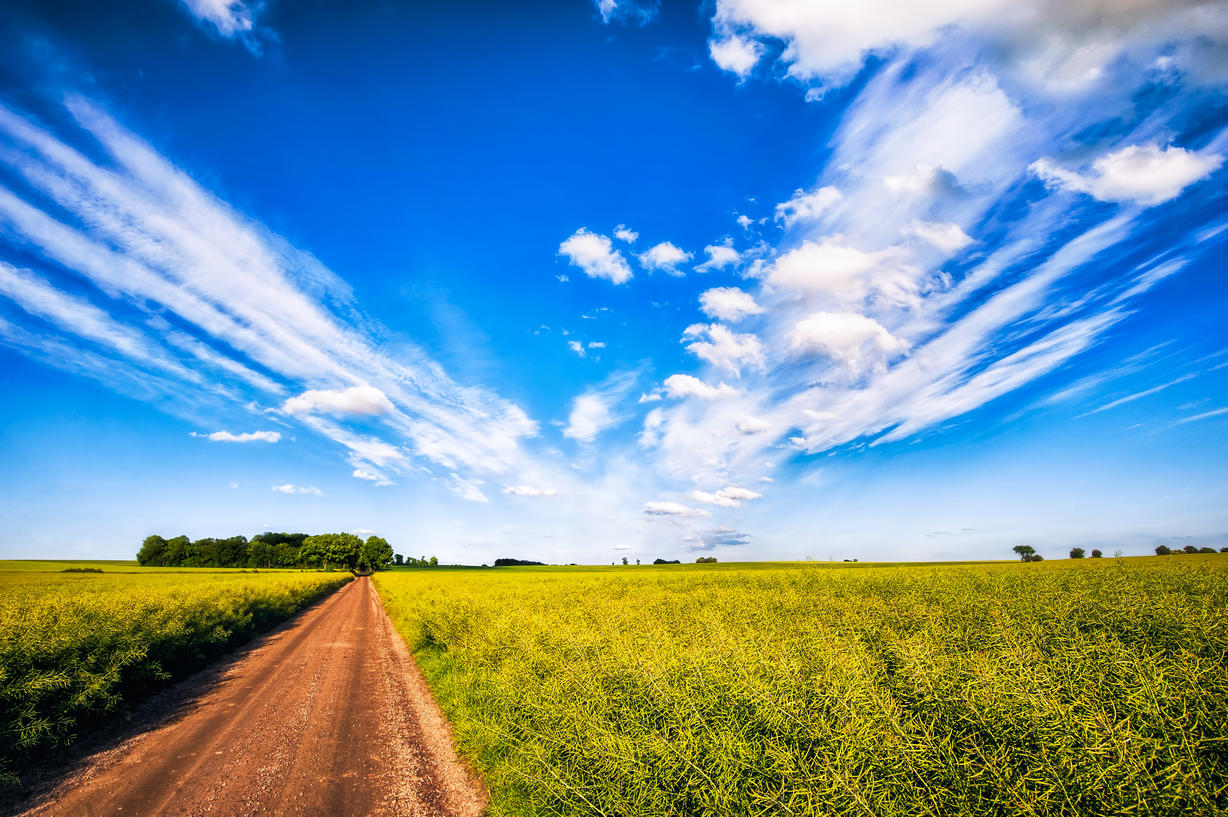 Wallpaper, road, blue, trees, light, summer, sky, nature, clouds, landscape, skane, Nikon, long, view, bright, Sweden, path, walk, farm, farming, explore, fields, crops, pathway, appe, d700 4245x2825