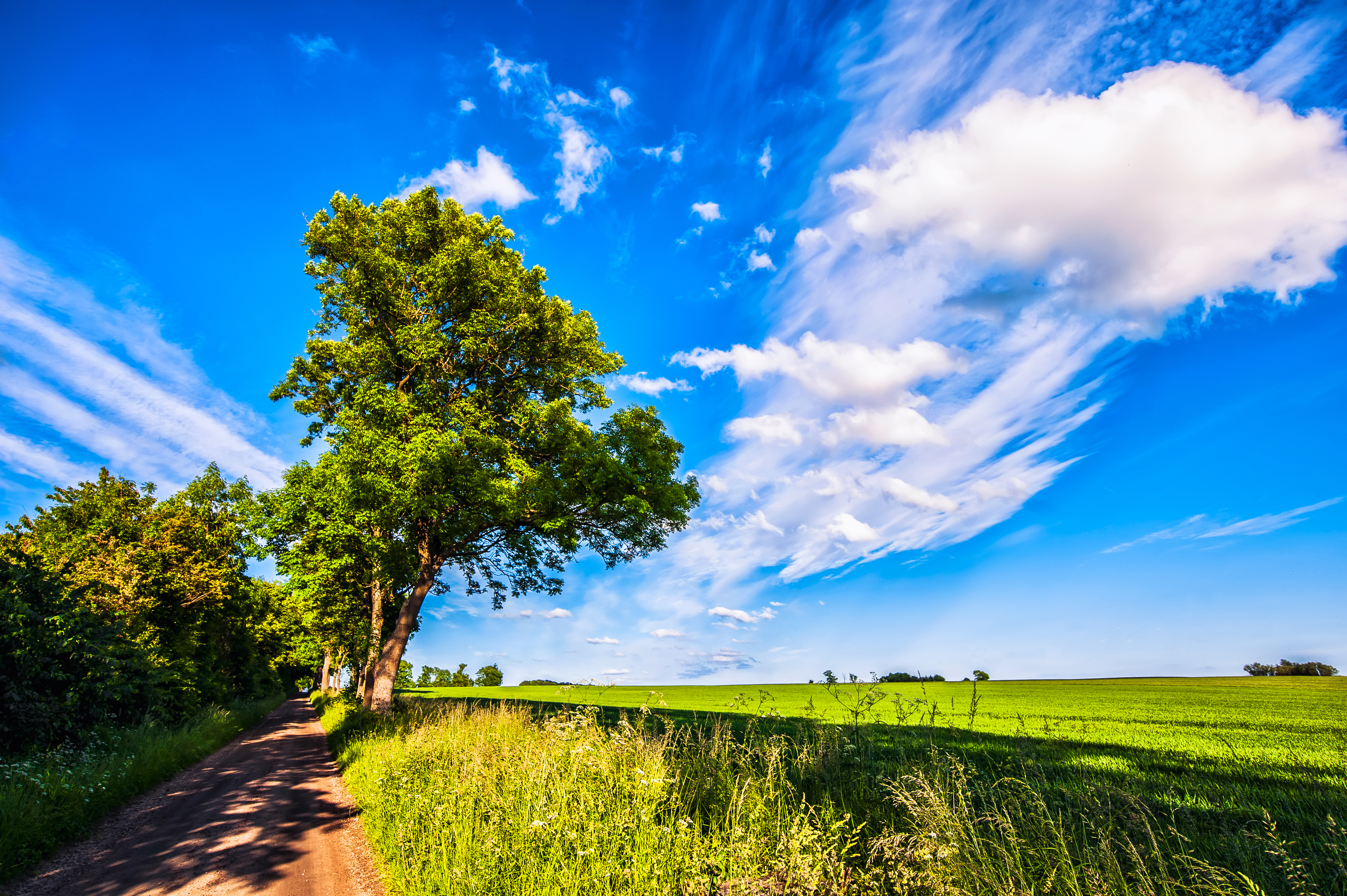 Wallpaper, road, blue, trees, light, summer, sky, lund, green, nature, clouds, landscape, skane, Nikon, warm, view, bright, Sweden, path, walk, farm, exploring, farming, crop, fields, crops, stroll, pathway, appe, d700 4229x2814