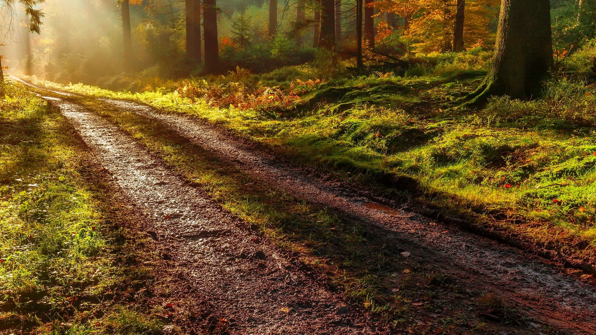 walk HD wallpaper, Background