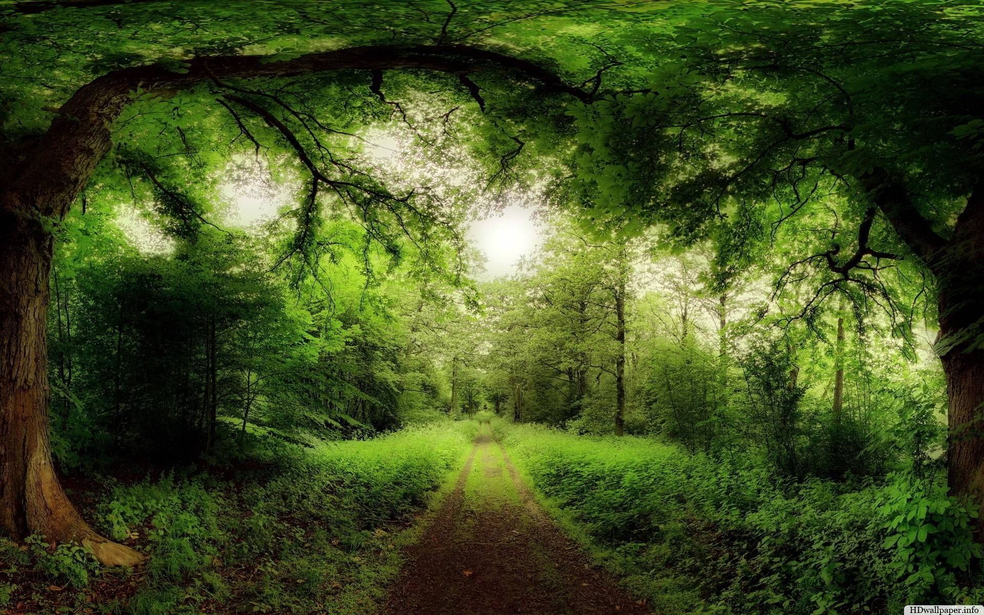 Its a beautiful world