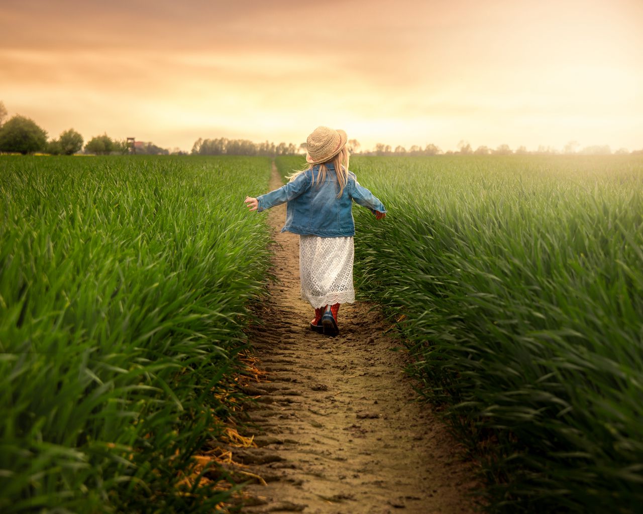 Download wallpaper 1280x1024 child, field, grass, path, walk standard 5:4 HD background