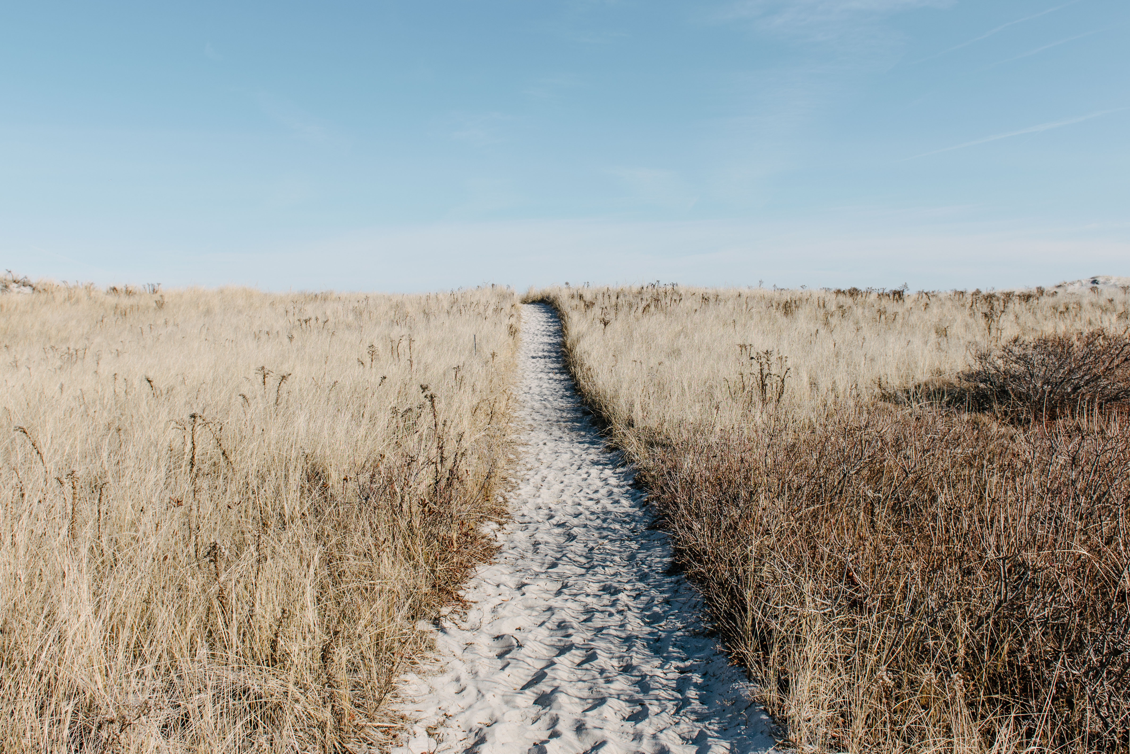 4786x3195 sky, beach, trample, summer, walkway, field, sand, hill, brown, path, shadow, walk, access, blue, grass, footprint, sand dune, dry, dune, beach grass, Public domain image. Mocah HD Wallpaper
