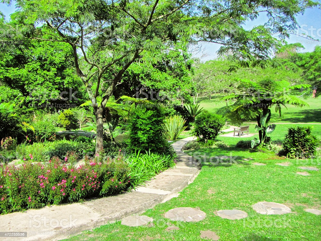 Pathwalk In Tropical Park Image Now