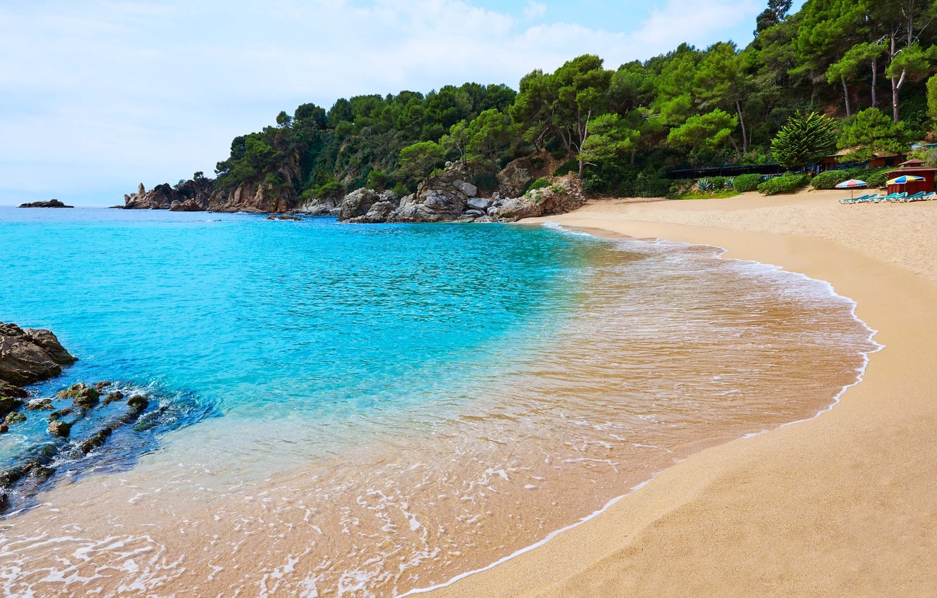 Wallpaper sea, greens, beach, summer, coast, Spain, Spain, Platja de Treumal image for desktop, section пейзажи