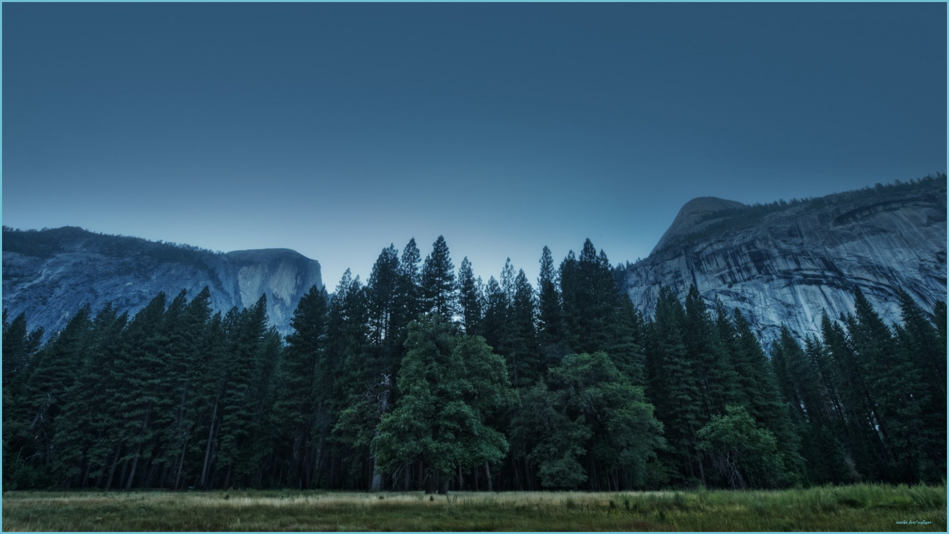 Nature, Landscape, Mountain, Forest Wallpaper HD / Desktop And Forest Wallpaper