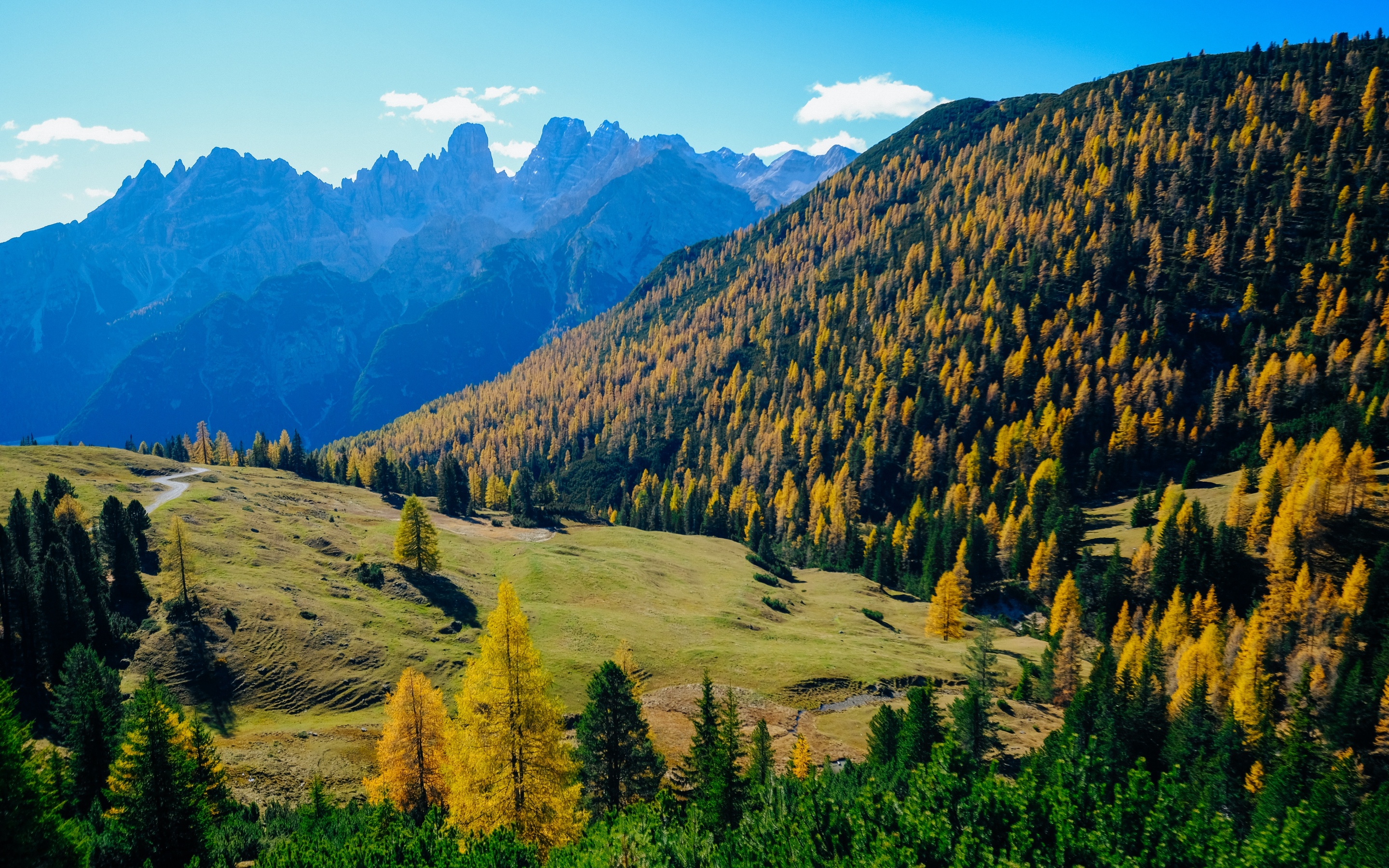 Landscape Wallpaper 4K, Forest, Mountains, Sunny day, Autumn, 5K, Nature