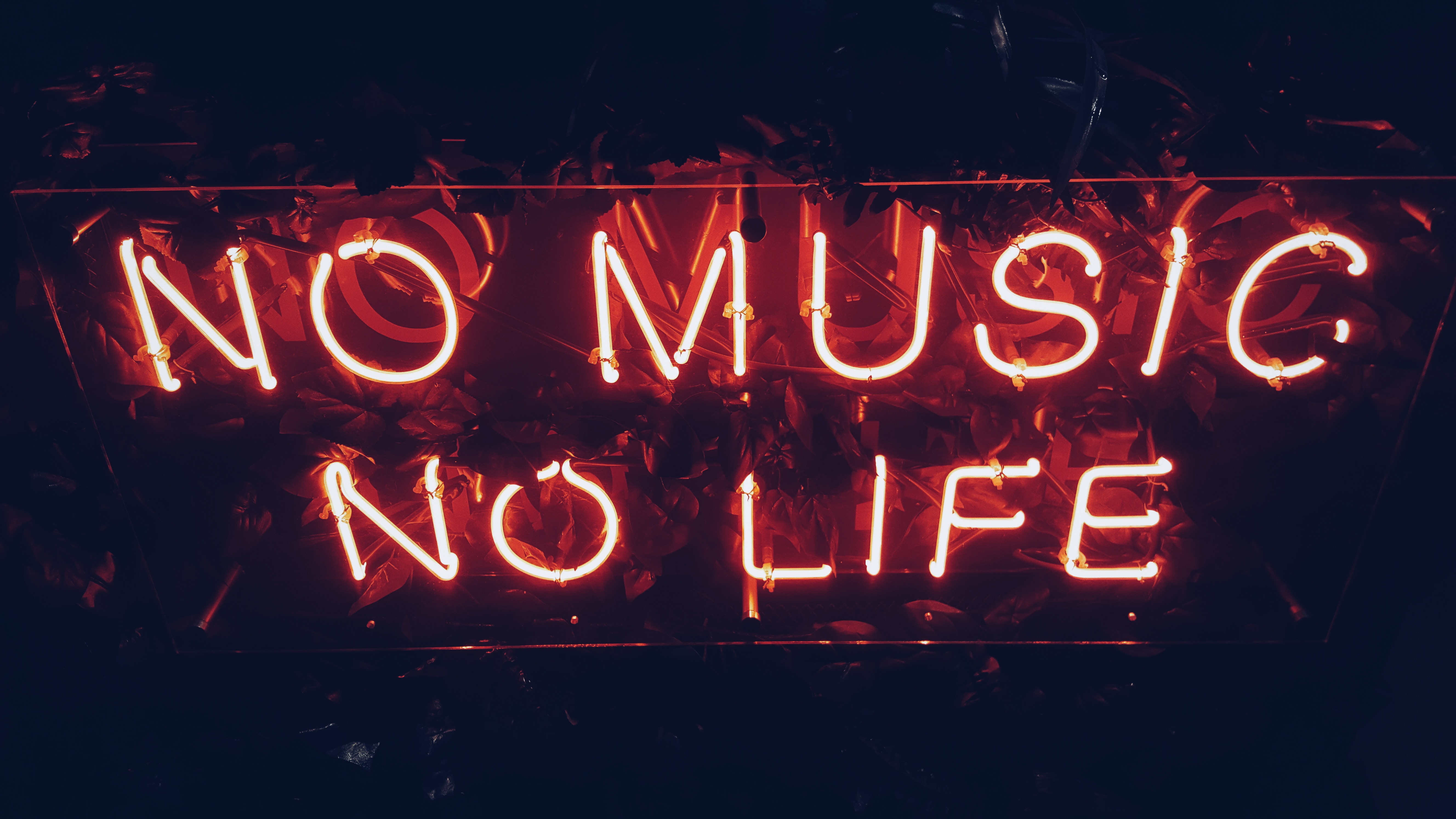 5312x2988 #neon art, #art, #music, #typography, #quote, #redlight, #lounge, #red, #music background, #Free picture, #no music no life, #illuminated, #neon sign, #life, #neonrart, #music wallpaper, #neon, #pub, #sign, #glow, #wallpaper