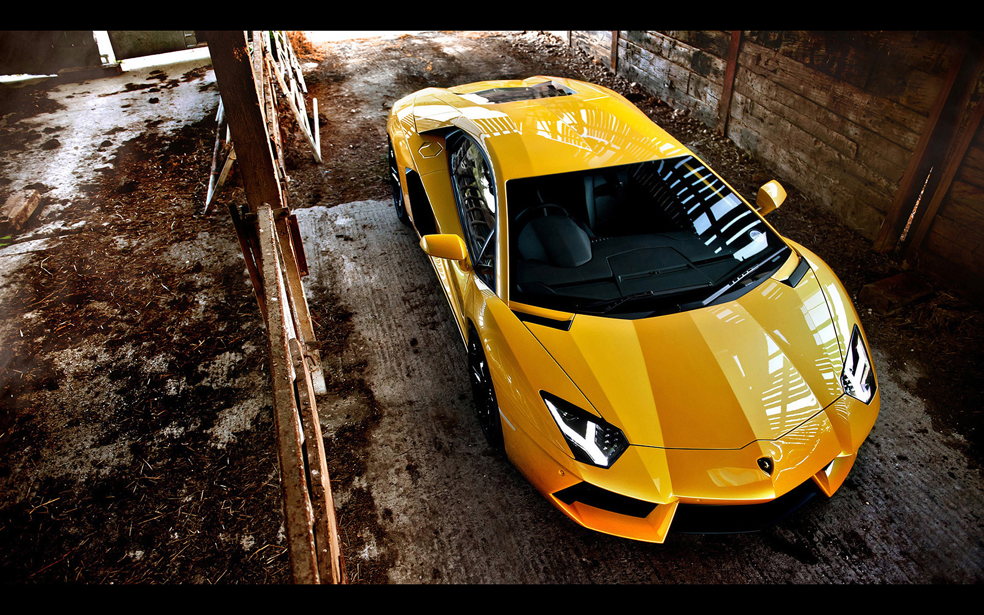 Yellow Lamborghini wallpaperx1200