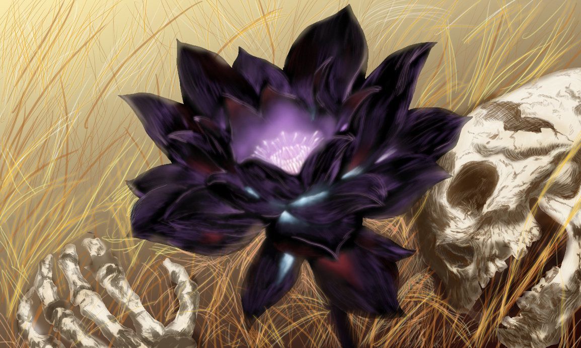 Black Lotus Wallpaper