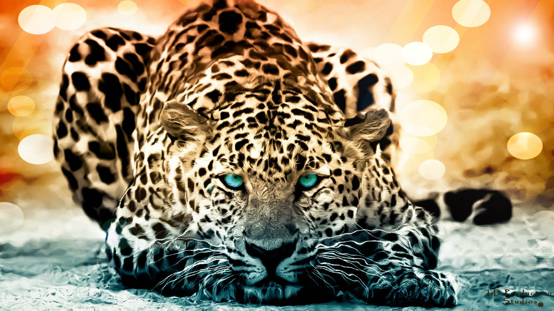 Widescreen Jaguar Animal Wallpaper Data Src HD HD Wallpaper