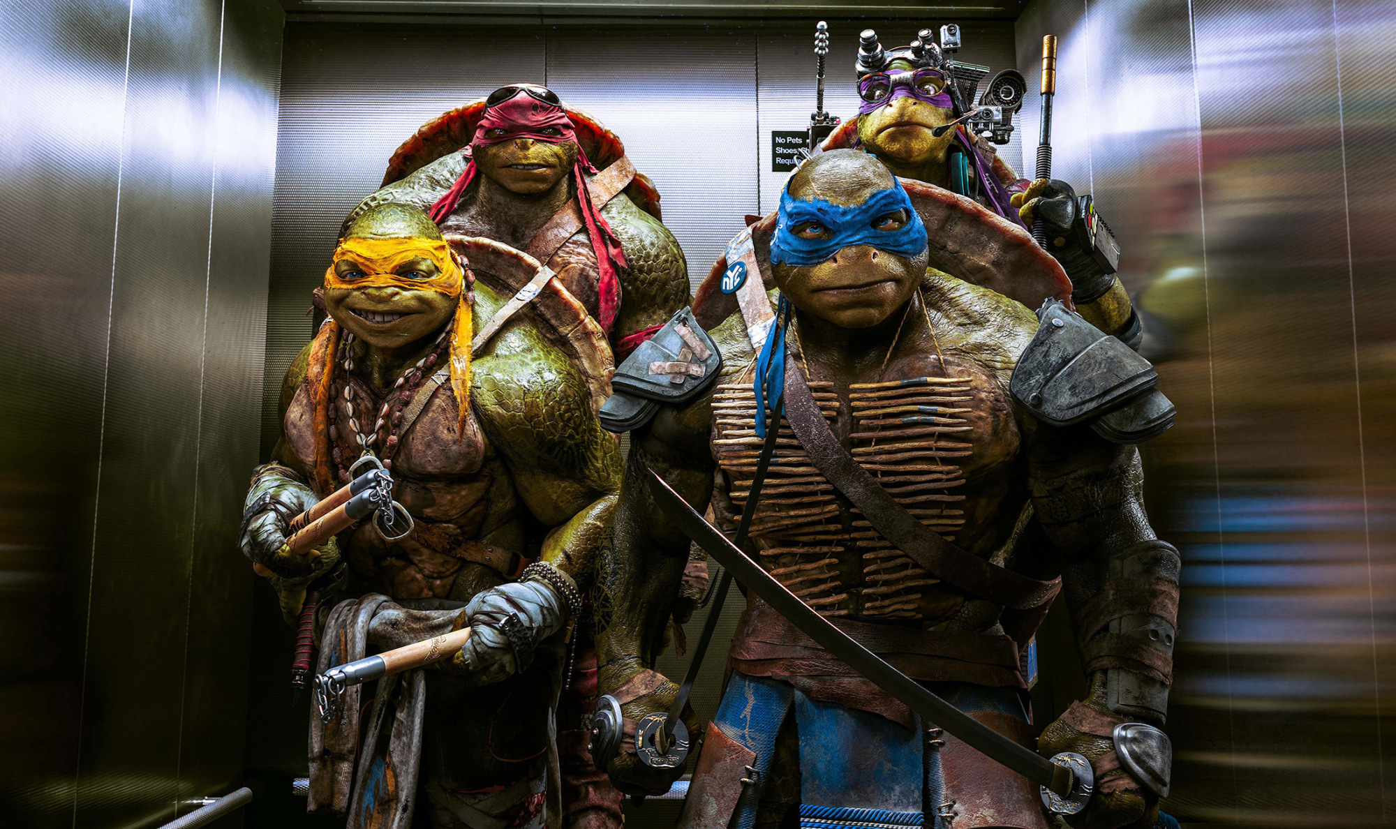 Teenage Mutant Ninja Turtles HD Wallpaper