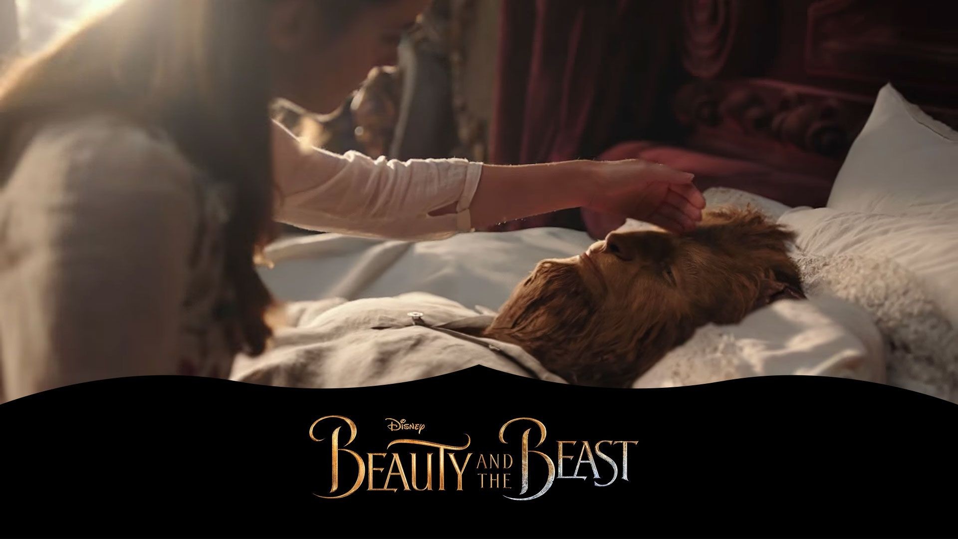 New Beauty And The Beast 2017 Movie HD Desktop Wallpaper And The Beast The Beast 2017