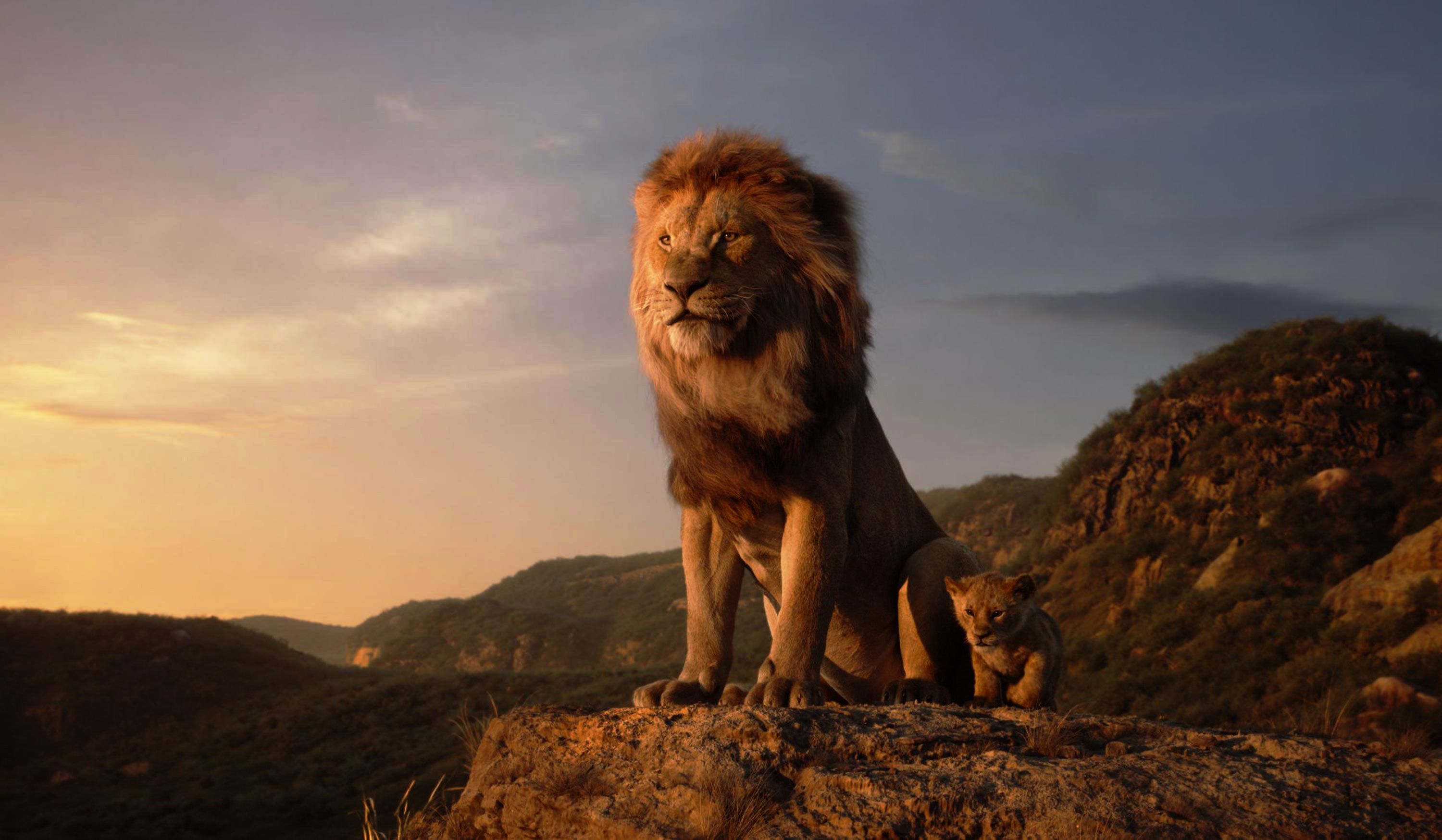 Lion King Desktop Wallpaper