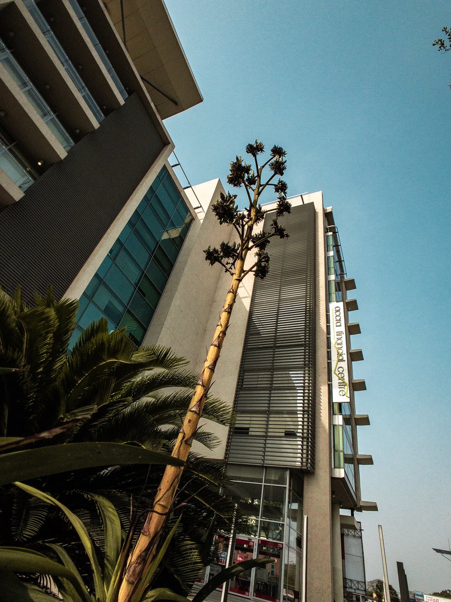 langlecon City of Accra! Appreciating the architecture. #ThisIsAccra #accra #Ghana #architecture #wallpaper