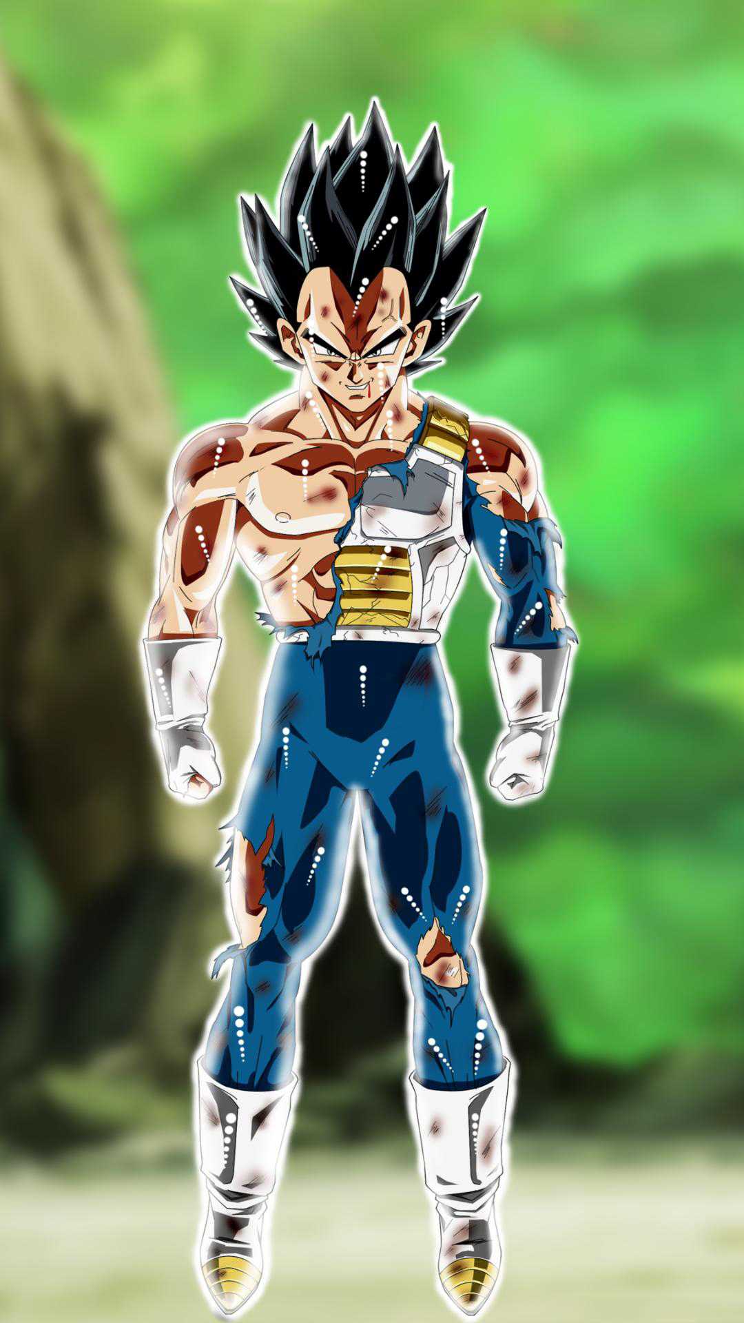 iPhone Vegeta Wallpaper Free HD Wallpaper
