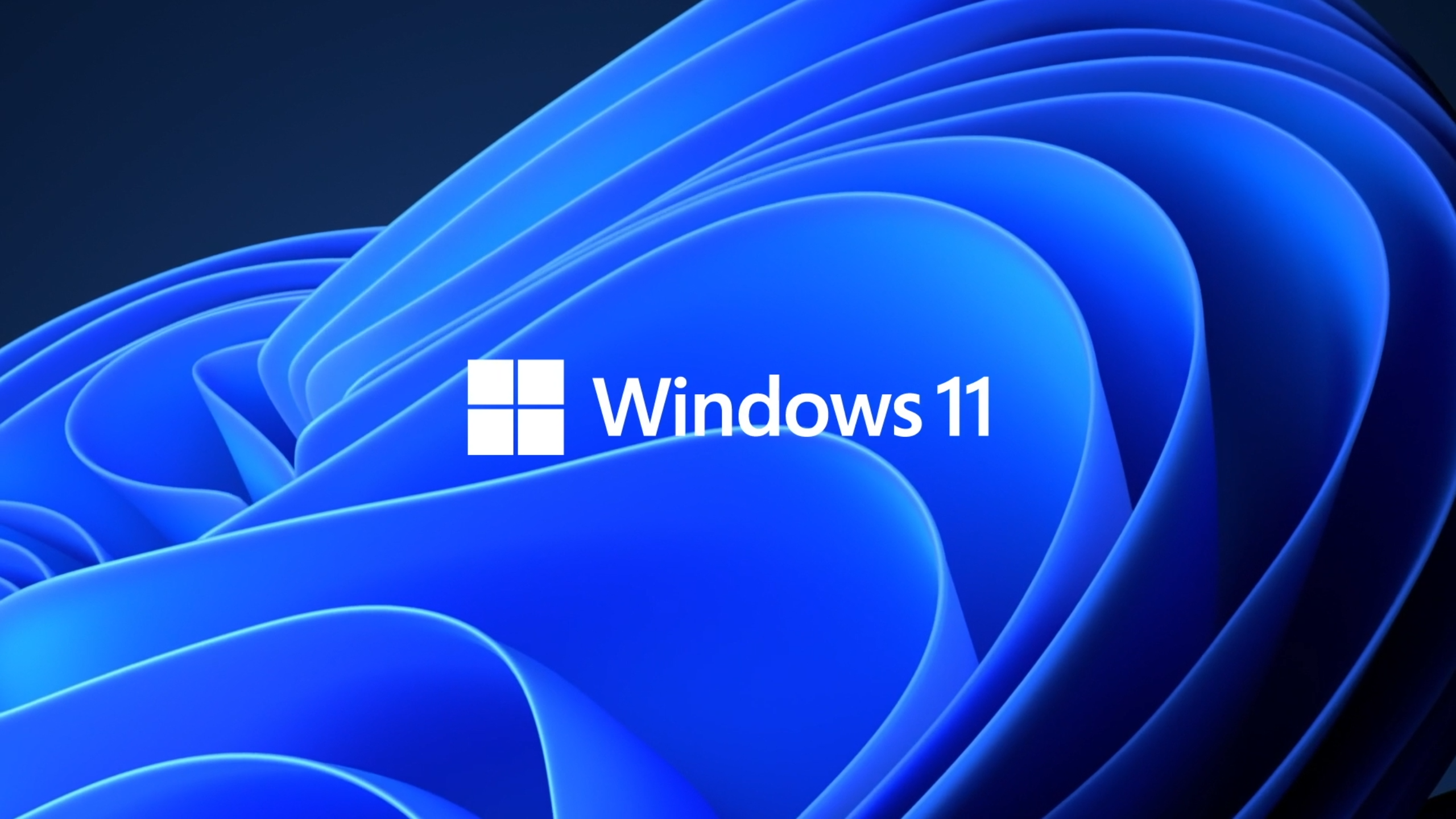 Free download Everything You Need to Know About Windows 11 [2560x1440] for your Desktop, Mobile & Tablet
