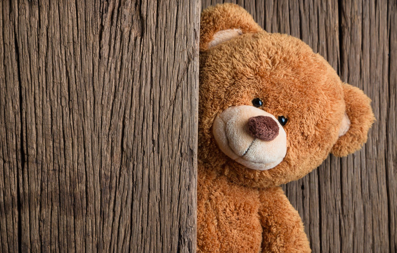 Wallpaper toy, bear, bear, wood, teddy bear, cute image for desktop, section разное