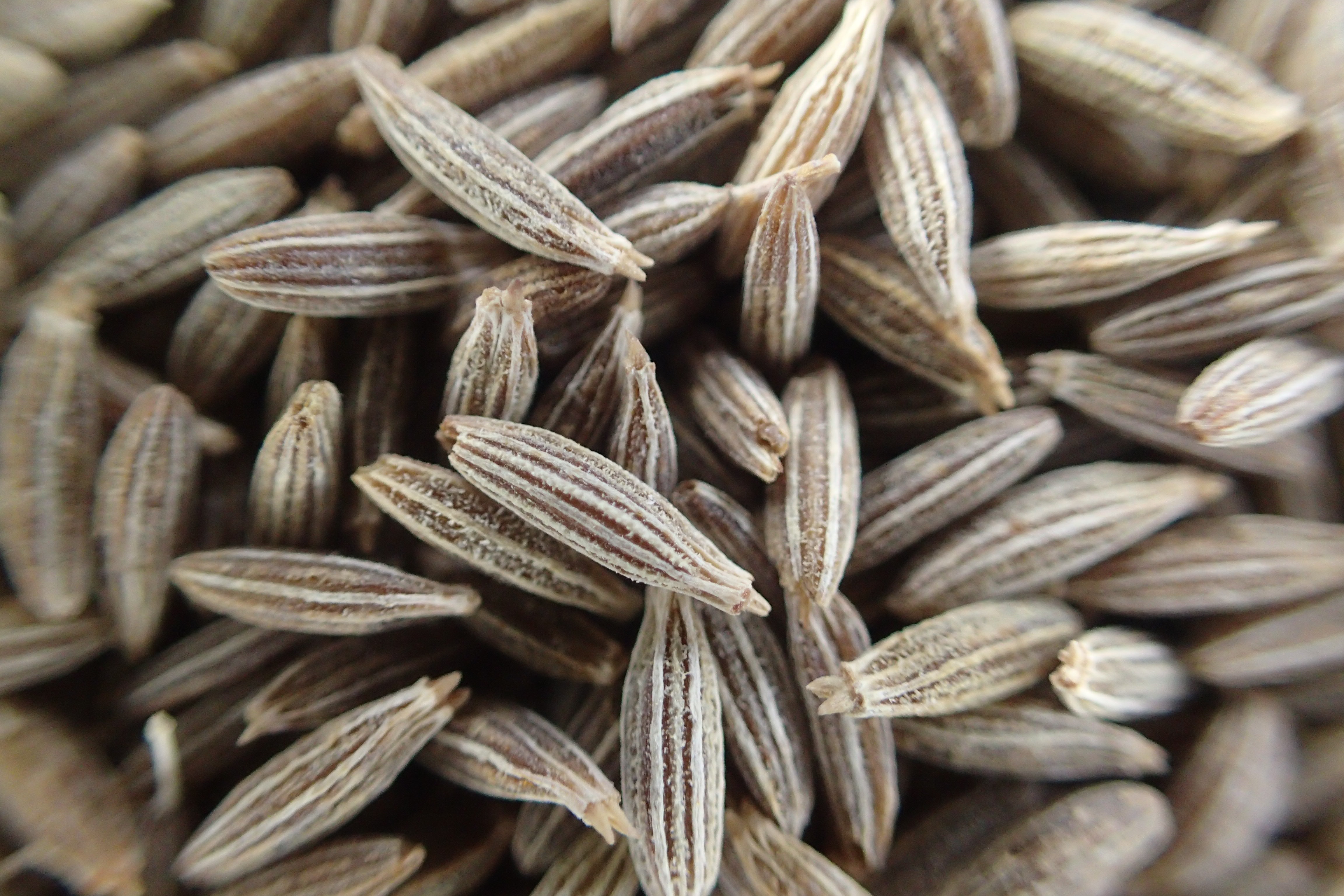 black-seed-wallpapers-wallpaper-cave