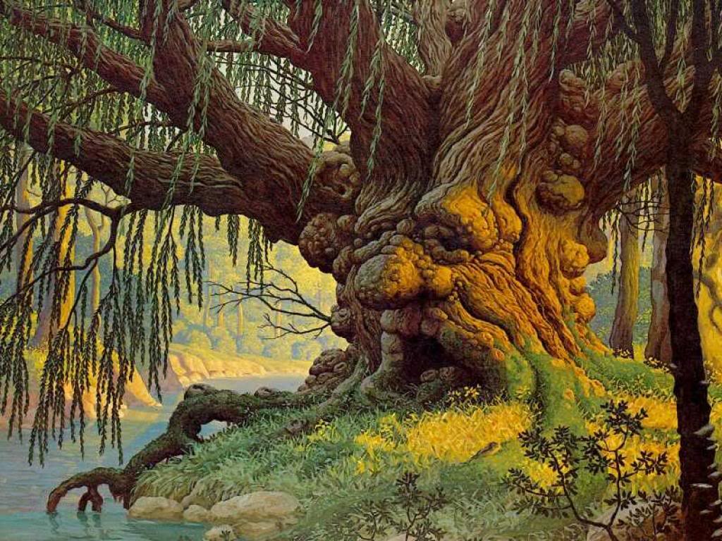 Willow Tree Wallpaper Primitive