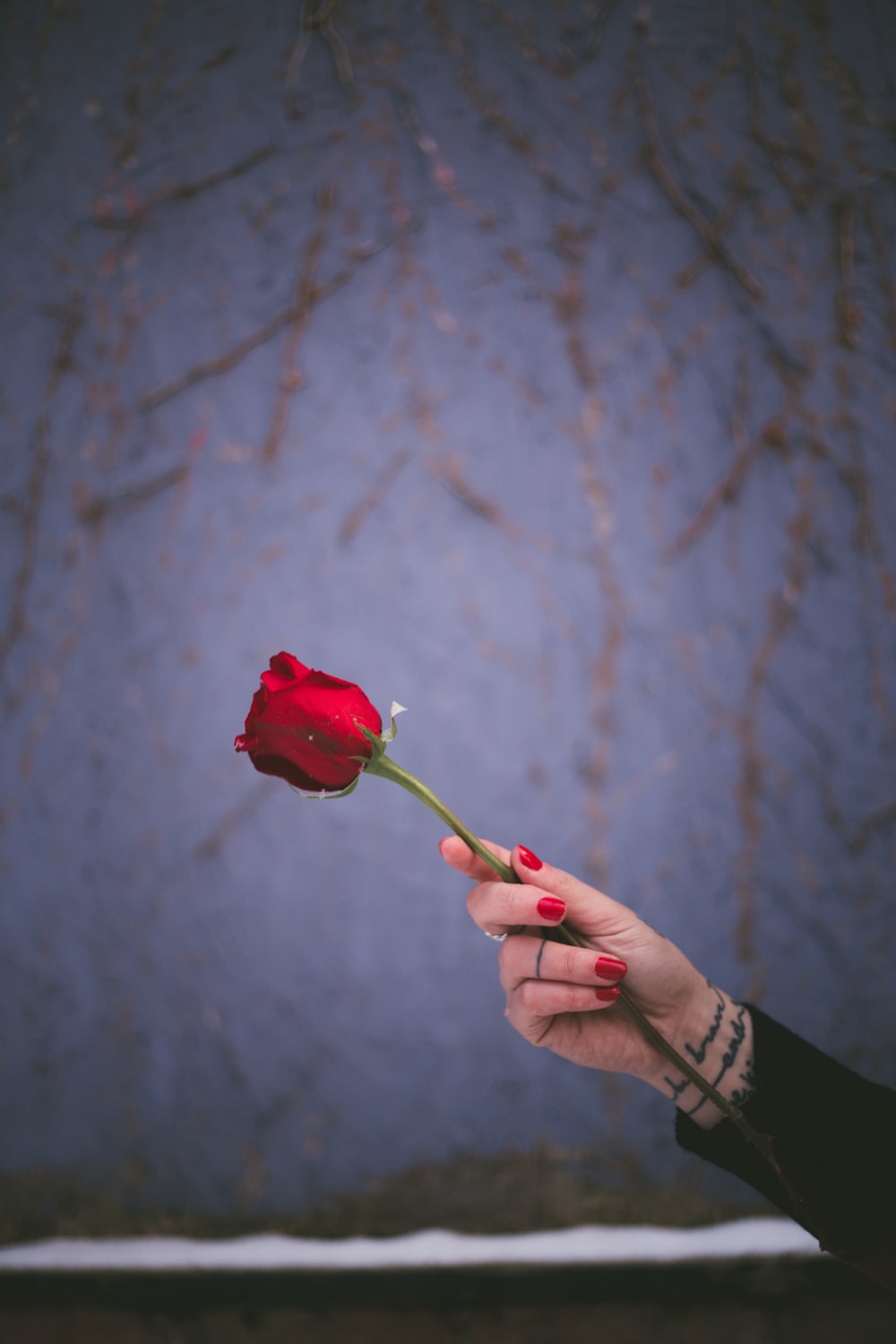 Rose In Hand Wallpapers - Wallpaper Cave