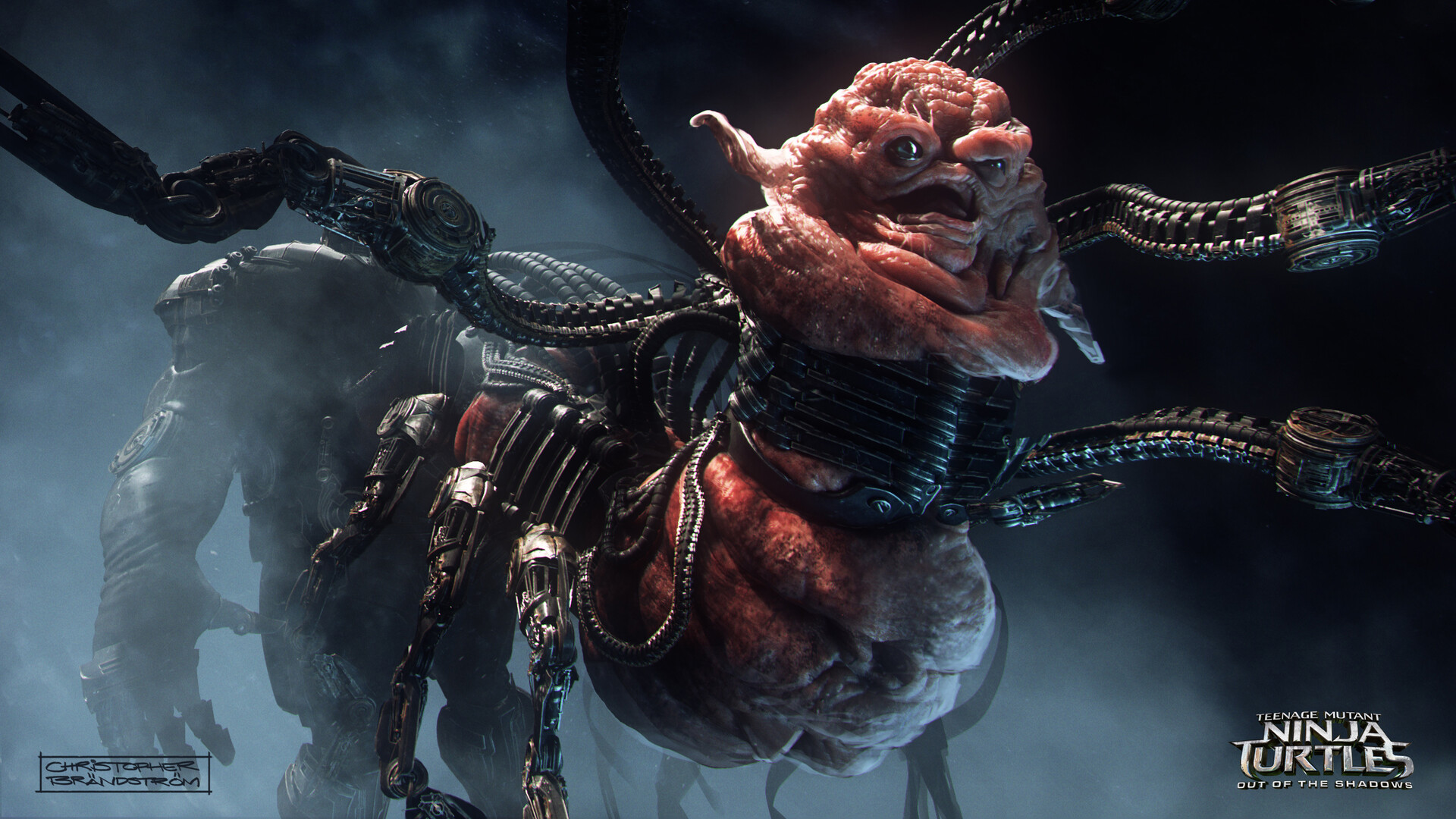 Christopher Brändström Out of the Shadows