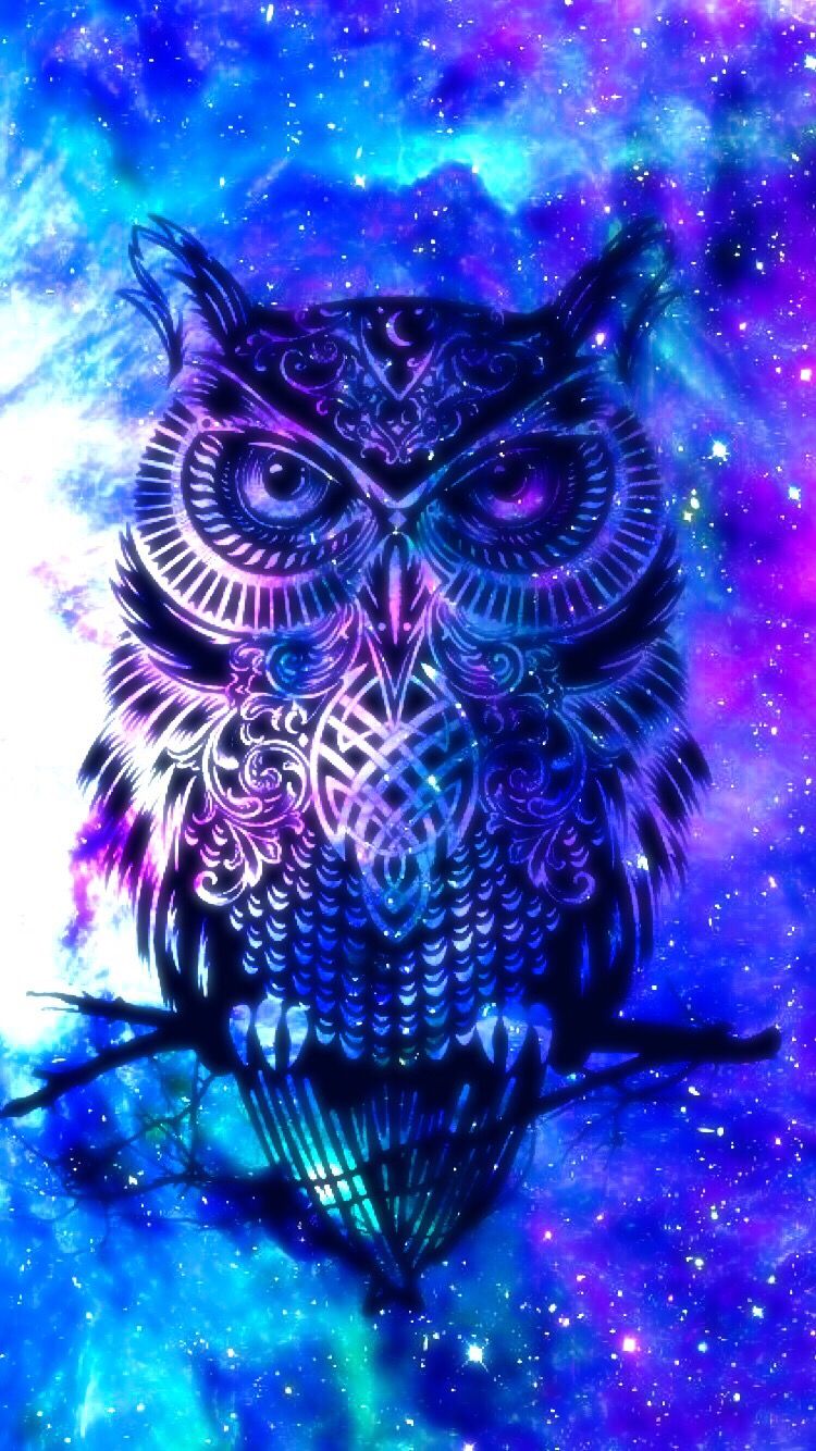 Free download Owl galaxy cute Owl wallpaper Galaxy wallpaper Animal wallpaper [750x1334] for your Desktop, Mobile & Tablet. Explore Owl Background. Owl Wallpaper, Owl Wallpaper, Owl City Wallpaper