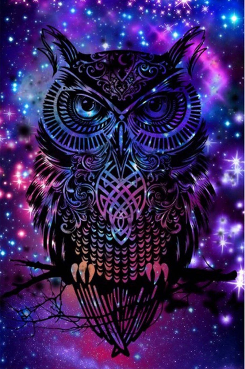 5D Diamond Painting Starry Bird Owl Paint with Diamonds Art Crystal Craft Decor. Dreamcatcher wallpaper, Owl wallpaper, Galaxy wallpaper