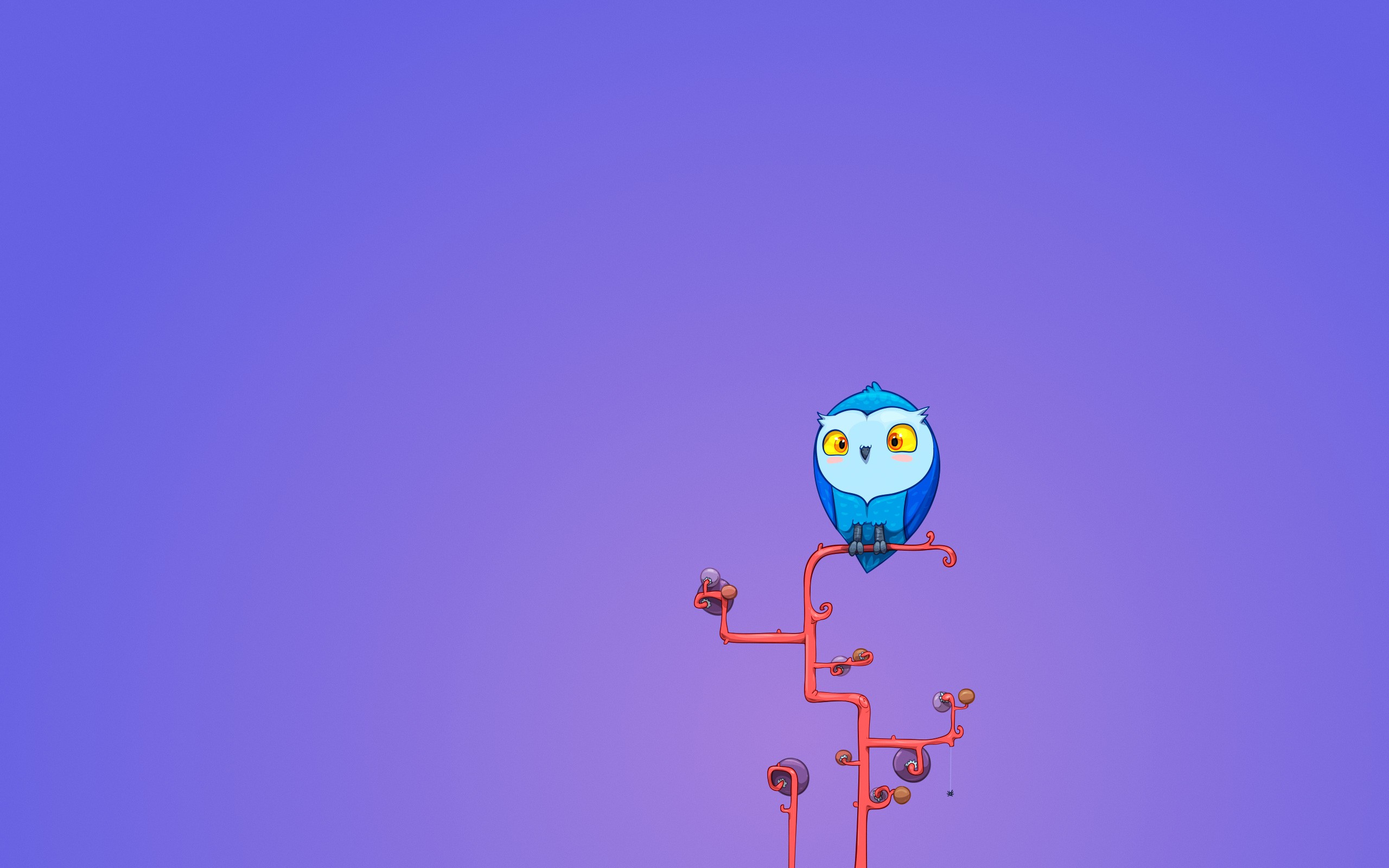 Free download Valentine Cute Owl Wallpaper [2560x1600] for your Desktop, Mobile & Tablet. Explore Owl Background Wallpaper. Free Cartoon Owl Desktop Wallpaper