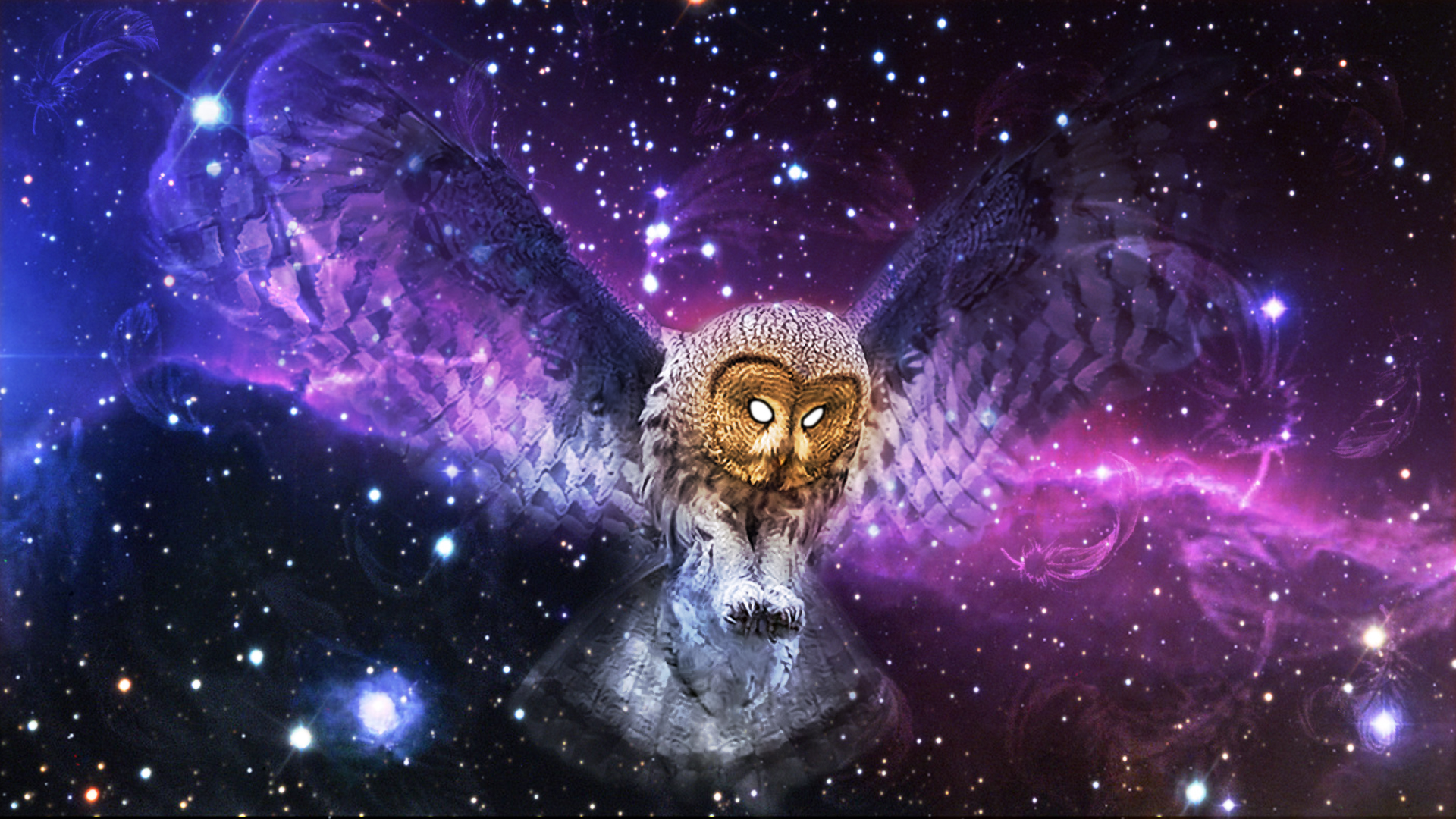 Purple Owl Wallpapers / Purple, red, and teal owl painting, owl, digital ar...