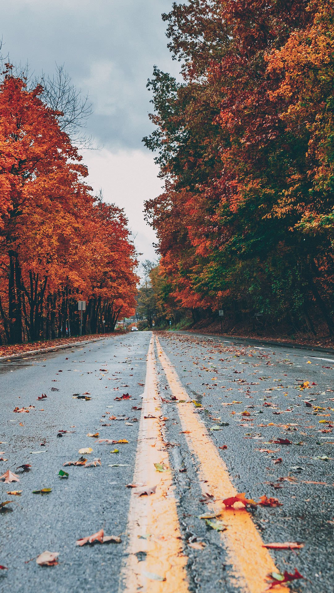 Autumn Vertical Wallpapers - Wallpaper Cave