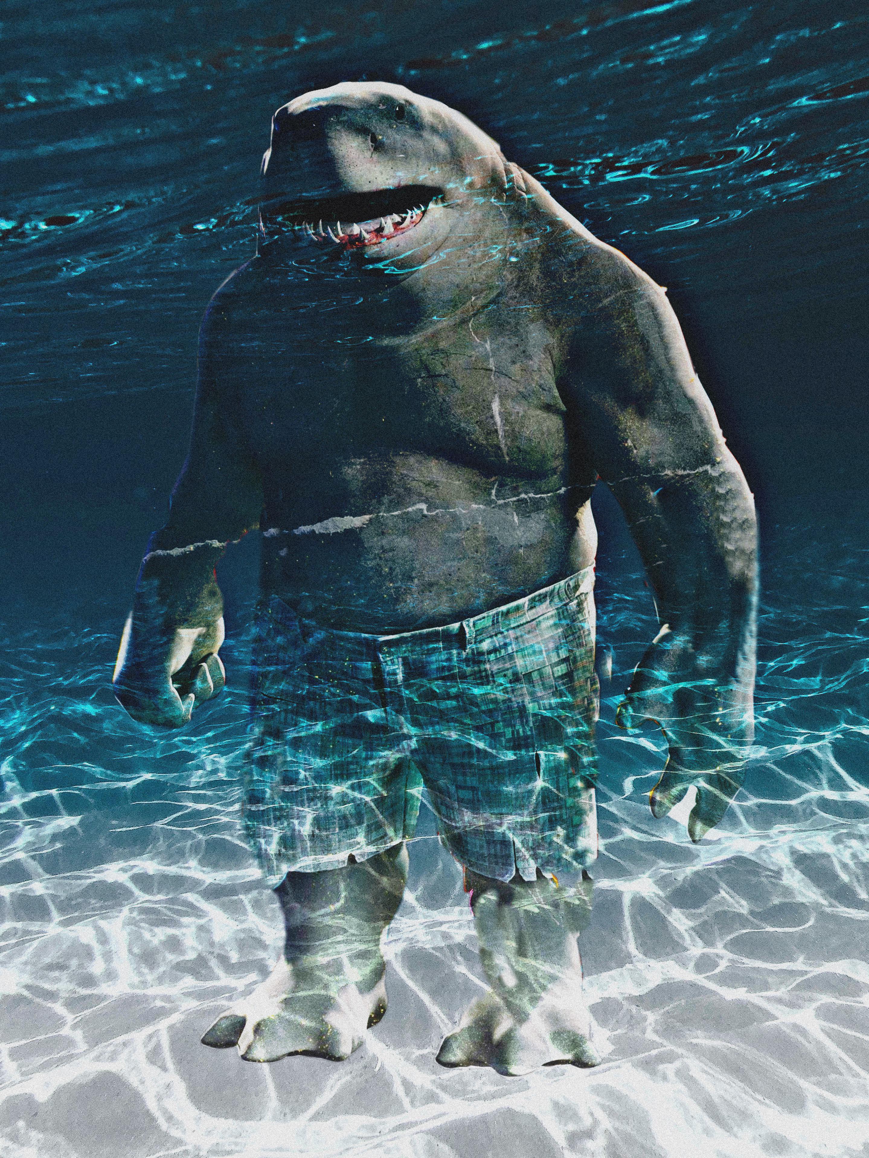King Shark Wallpaper  Download to your mobile from PHONEKY