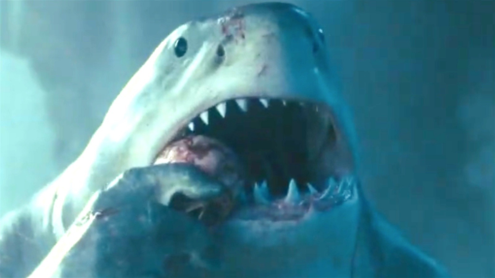 Why King Shark From The Suicide Squad Sounds So Familiar
