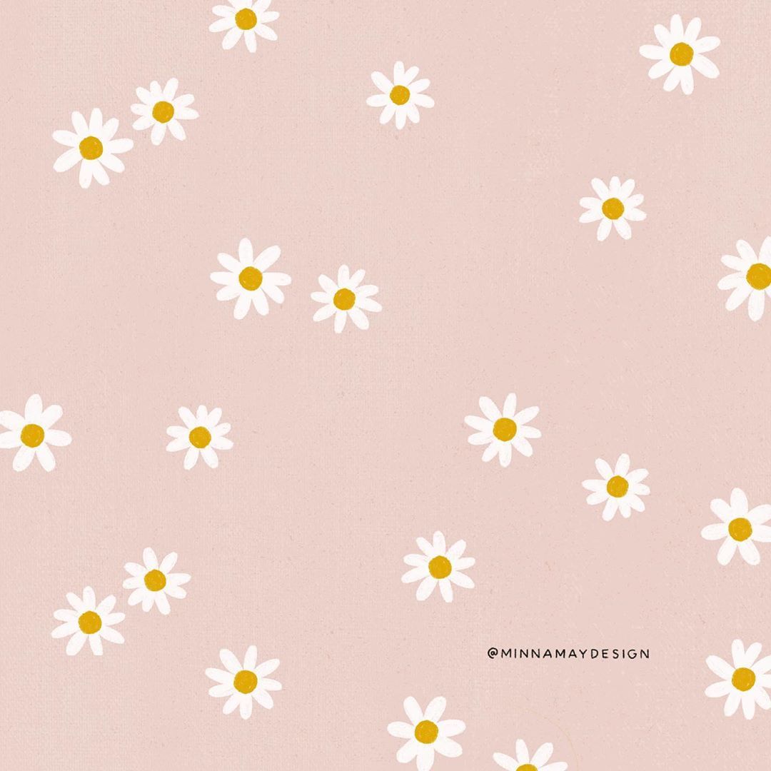 Minna May Design on Instagram: “i love chamomile flowers ❤️ they are so dainty and cute!”. Chamomile flowers, May designs, Flowers