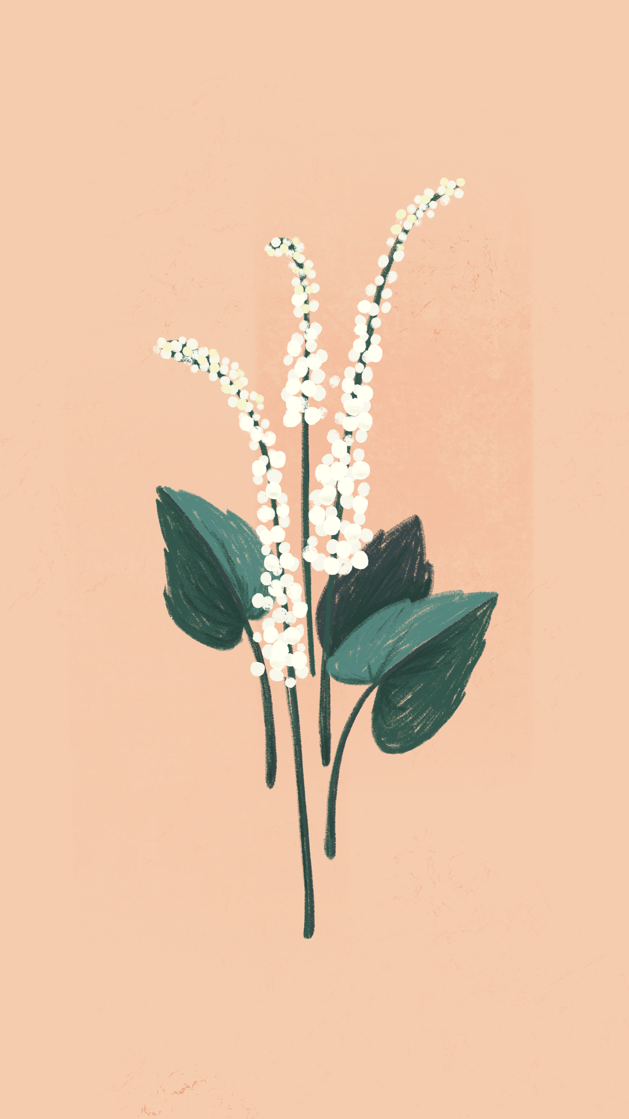 My May Flowers. iPhone background art, Minimal wallpaper, iPad pro wallpaper