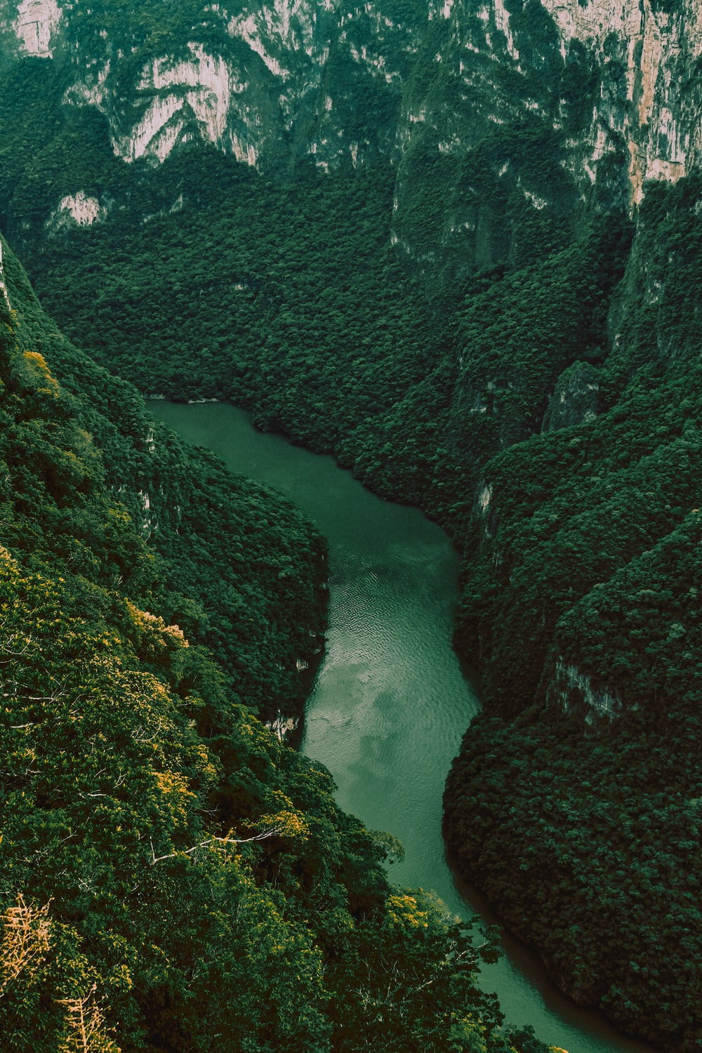 Chiapas Picture. Download Free Image